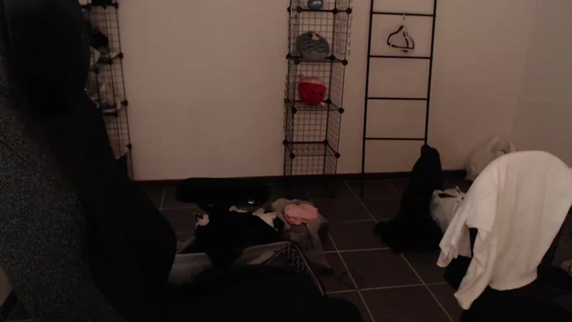 Gallery image thumbnail from RoomToAvoid's myfreecams stream on, 03/21/2023, 04:15 image 17 of 20