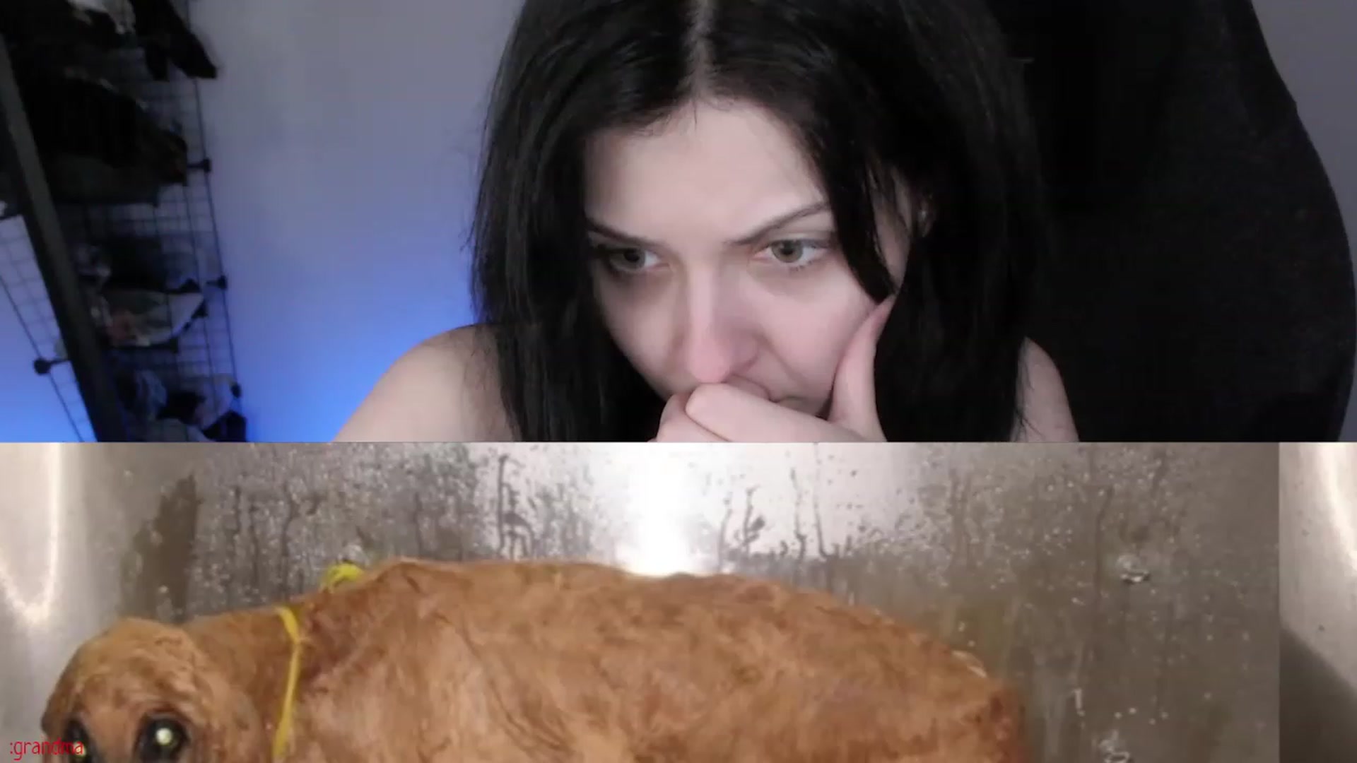 Gallery image thumbnail from RoomToAvoid's myfreecams stream on, 03/31/2023, 07:08 image 13 of 20