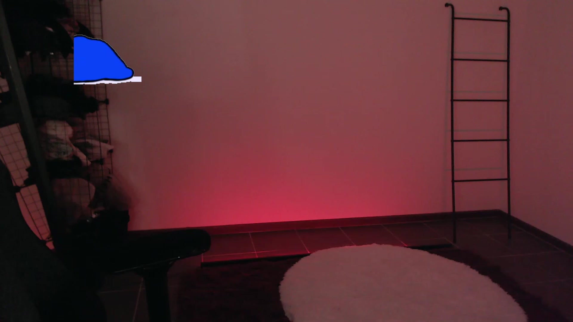 Gallery image thumbnail from RoomToAvoid's myfreecams stream on, 04/10/2023, 04:40 image 4 of 20