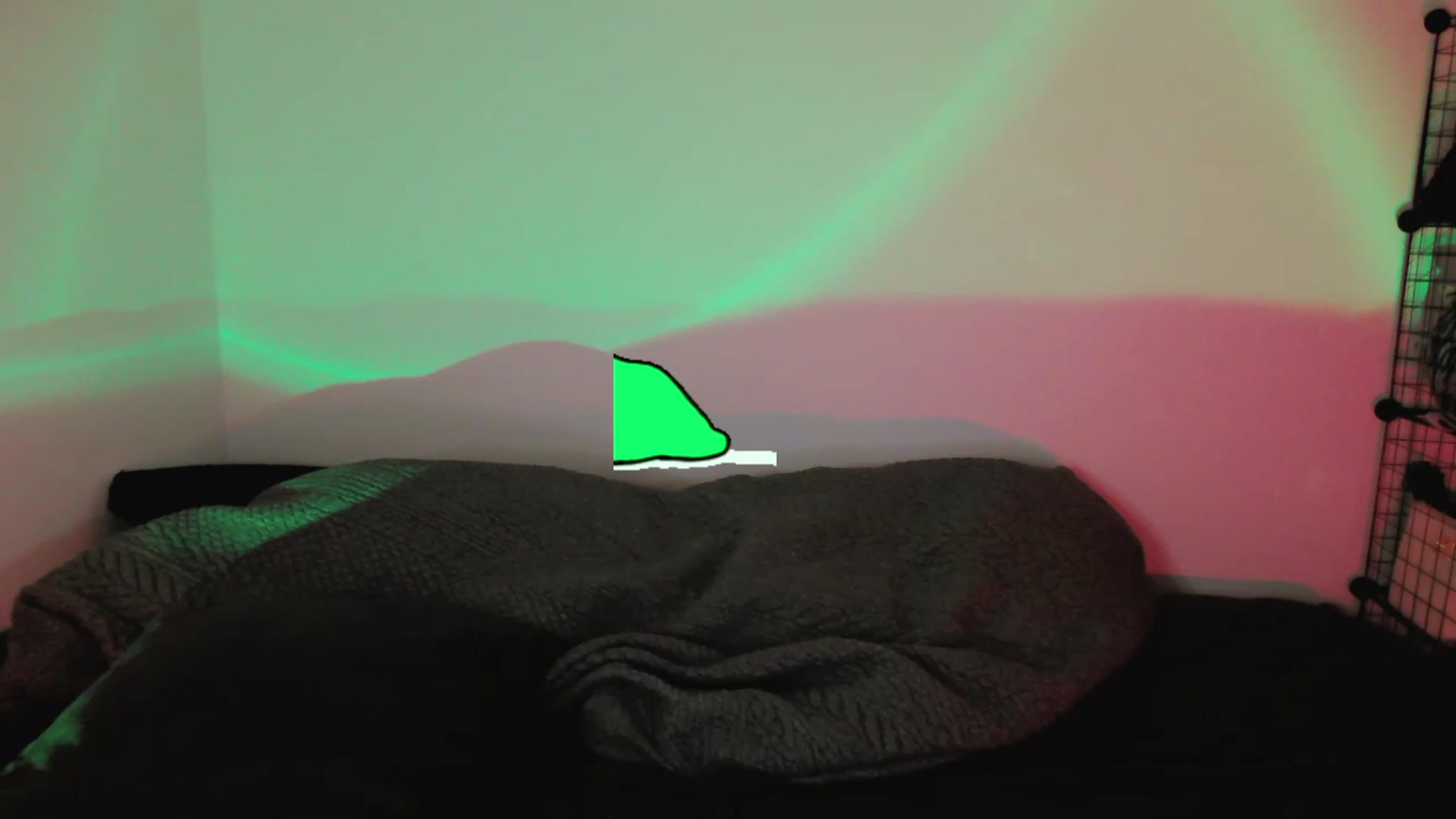 Gallery image thumbnail from RoomToAvoid's myfreecams stream on, 04/19/2023, 04:59 image 16 of 20
