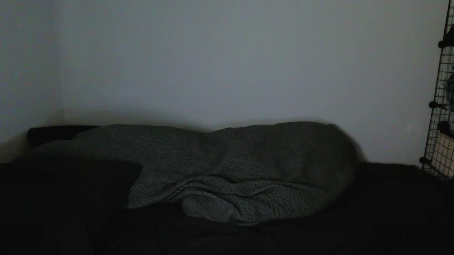 Gallery image thumbnail from RoomToAvoid's myfreecams stream on, 04/19/2023, 07:26 image 17 of 20