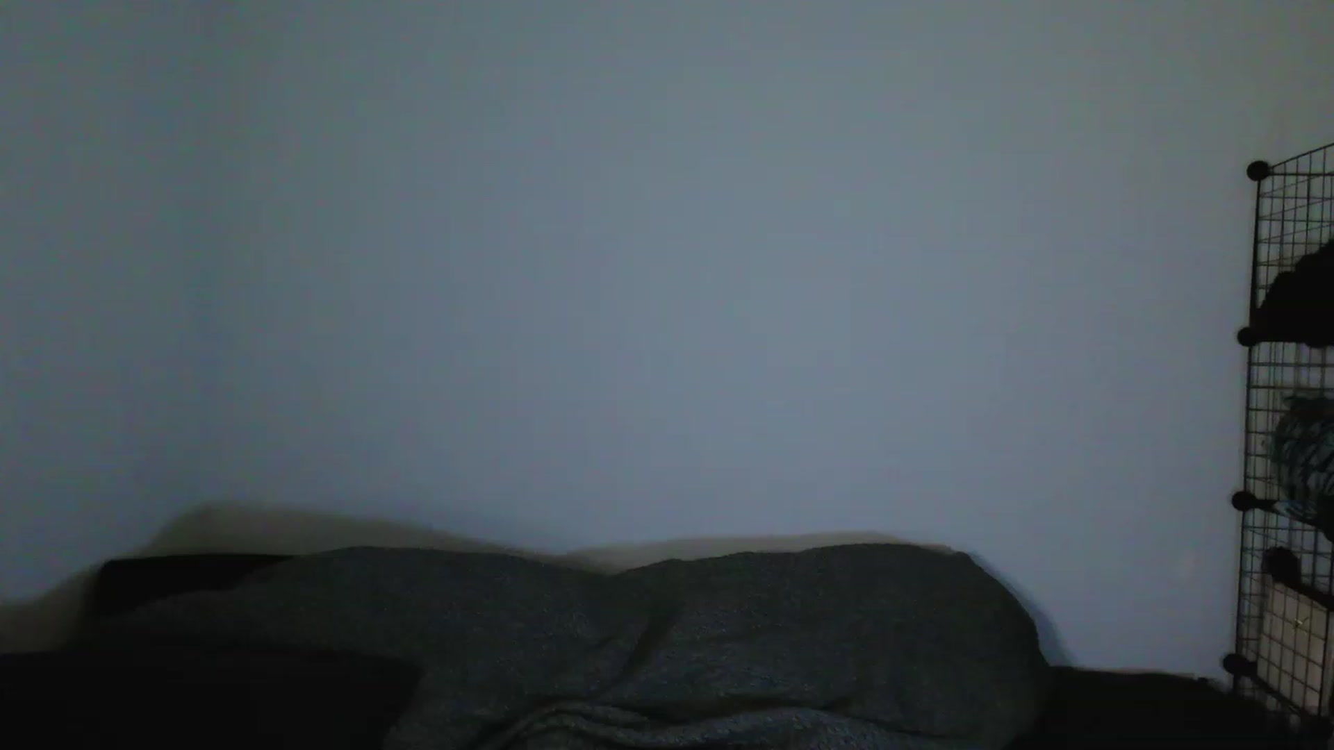 Gallery image thumbnail from RoomToAvoid's myfreecams stream on, 04/19/2023, 07:26 image 8 of 20