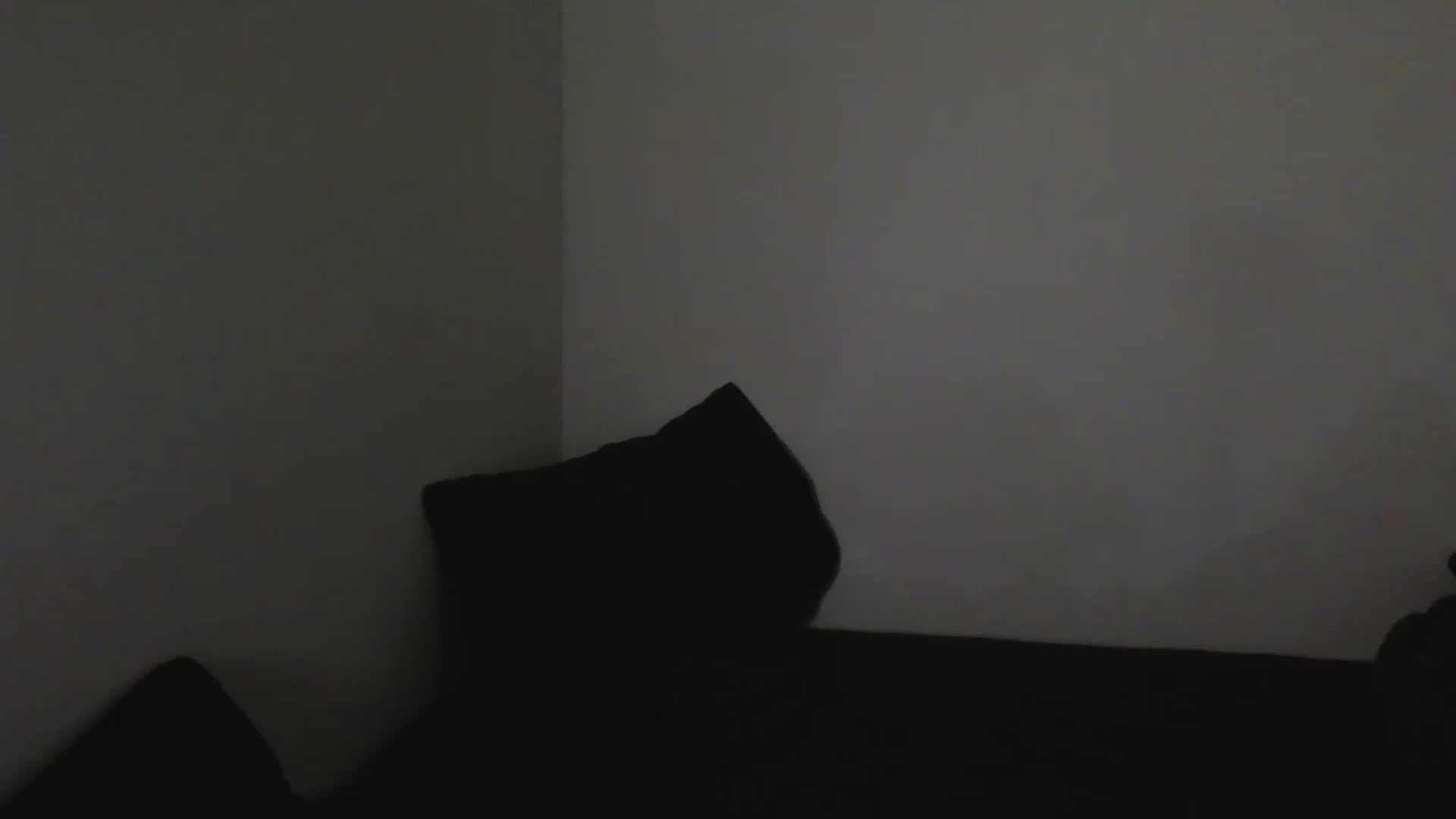 Gallery image thumbnail from RoomToAvoid's myfreecams stream on, 04/20/2023, 03:45 image 20 of 20