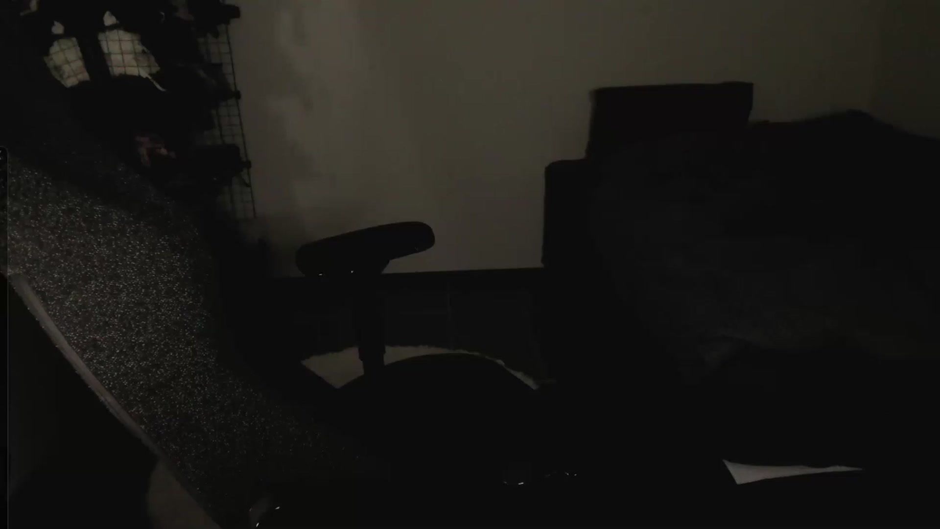 Gallery image thumbnail from RoomToAvoid's myfreecams stream on, 05/08/2023, 09:06 image 9 of 20