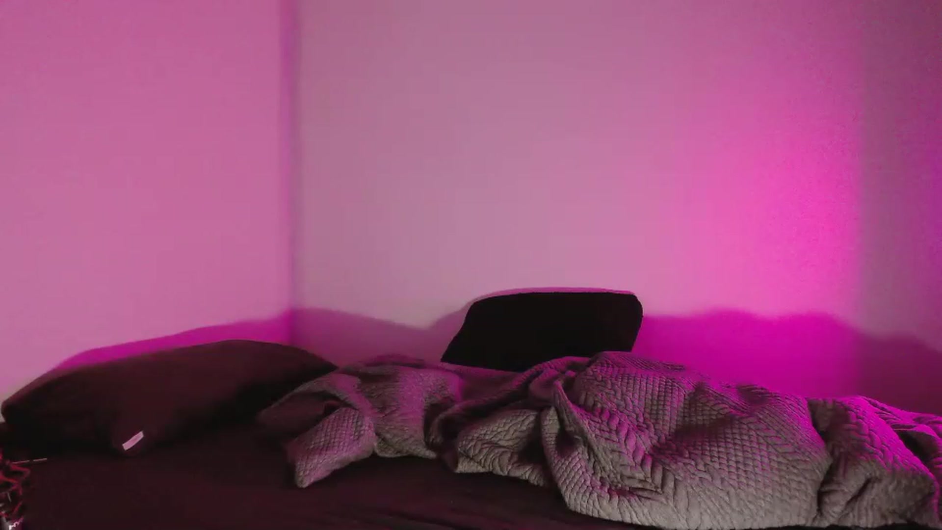 Gallery image thumbnail from RoomToAvoid's myfreecams stream on, 05/12/2023, 04:34 image 11 of 20