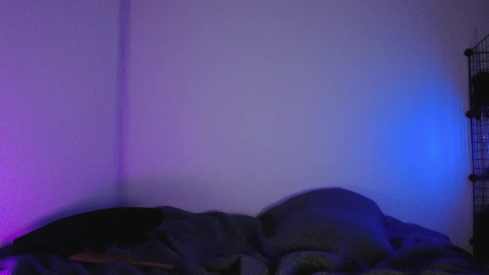 Gallery image thumbnail from RoomToAvoid's myfreecams stream on, 05/15/2023, 03:08 image 3 of 20