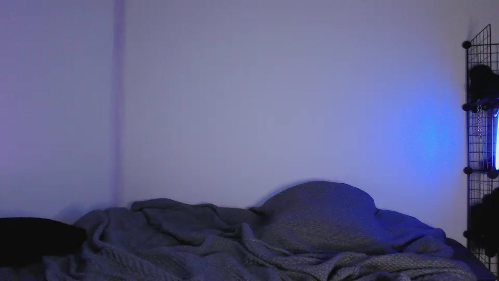 Gallery image thumbnail from RoomToAvoid's myfreecams stream on, 05/15/2023, 03:08 image 20 of 20
