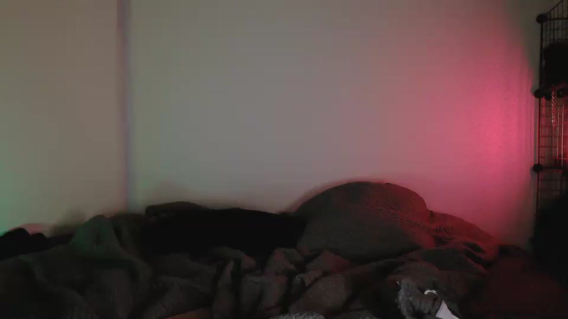Gallery image thumbnail from RoomToAvoid's myfreecams stream on, 05/15/2023, 05:05 image 17 of 20