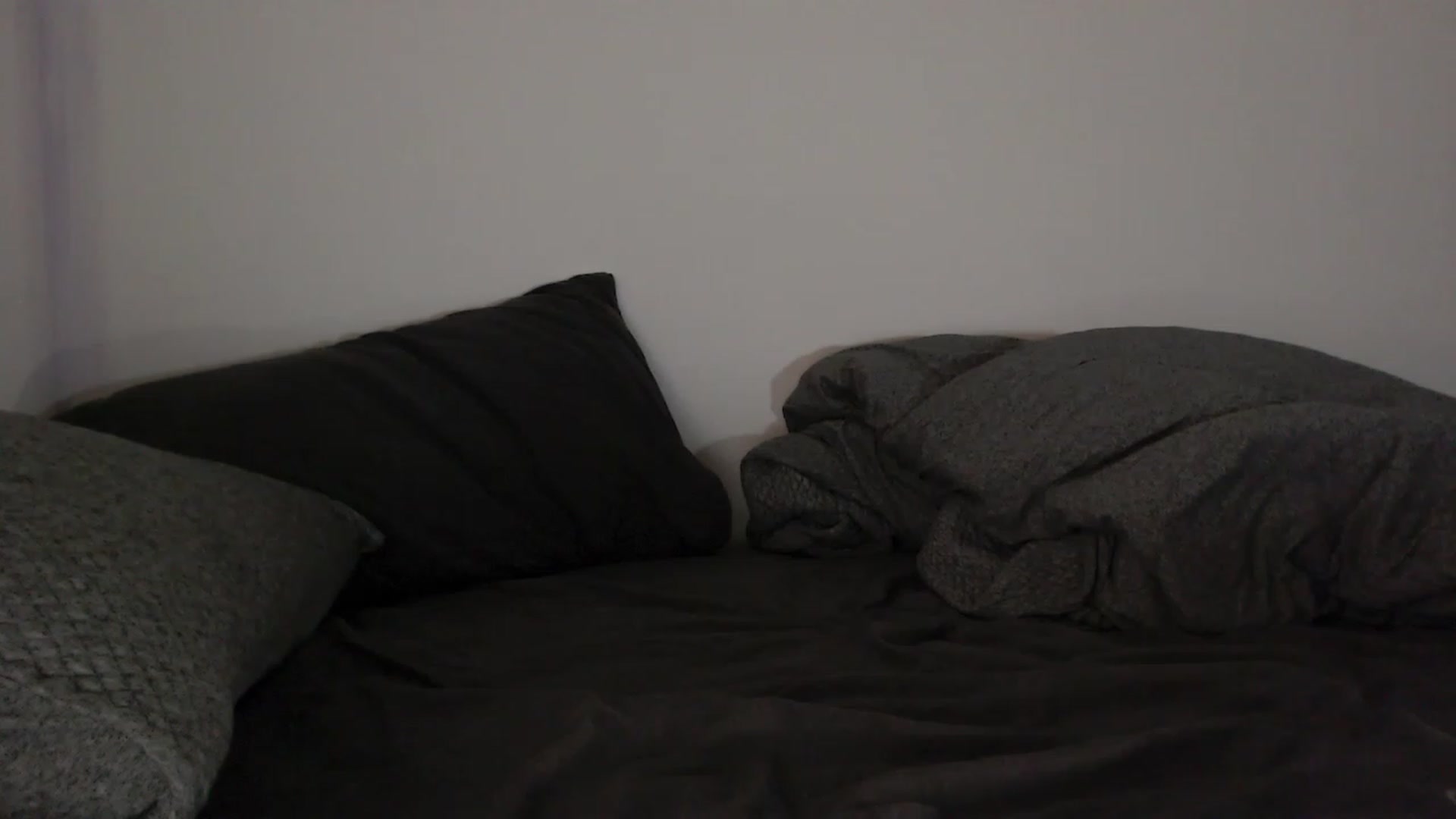 Gallery image thumbnail from RoomToAvoid's myfreecams stream on, 06/05/2023, 04:07 image 20 of 20
