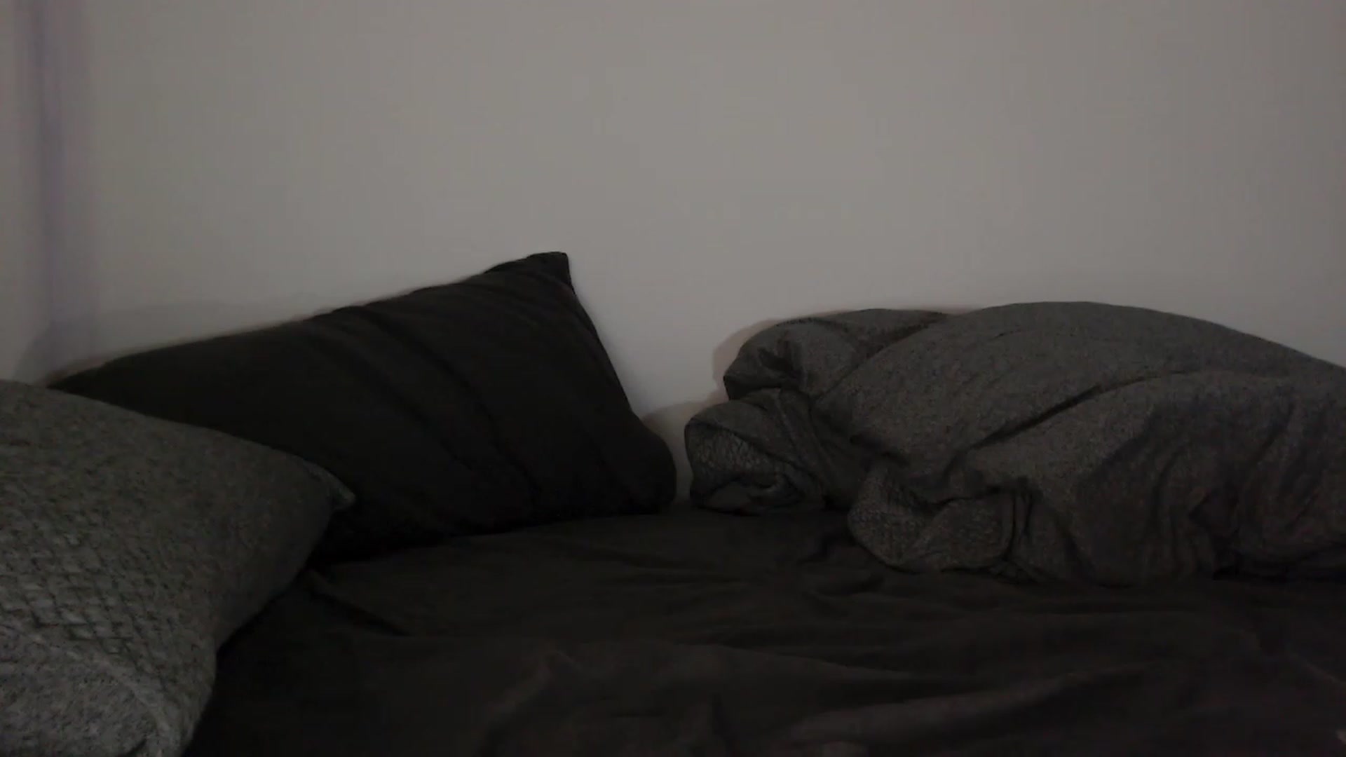 Gallery image thumbnail from RoomToAvoid's myfreecams stream on, 06/05/2023, 04:07 image 19 of 20
