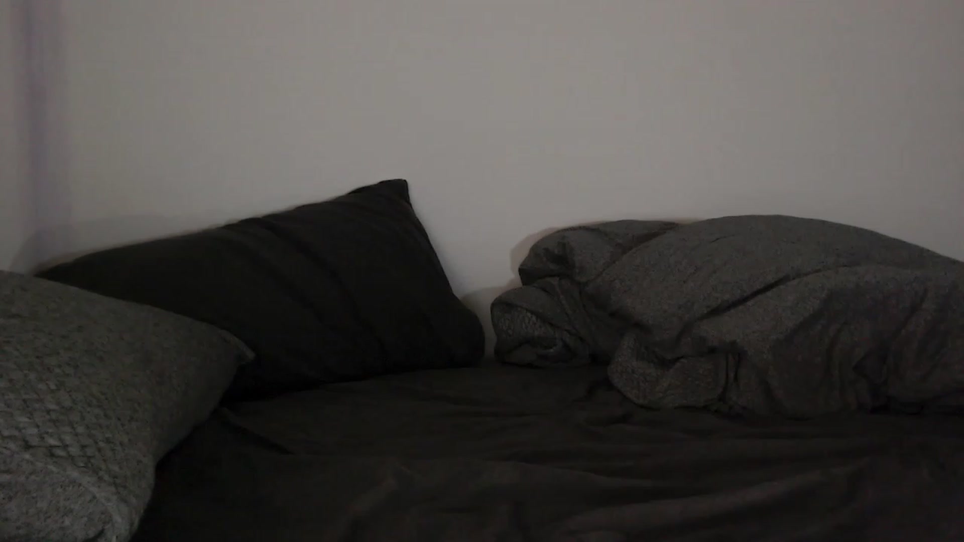 Gallery image thumbnail from RoomToAvoid's myfreecams stream on, 06/05/2023, 04:07 image 17 of 20
