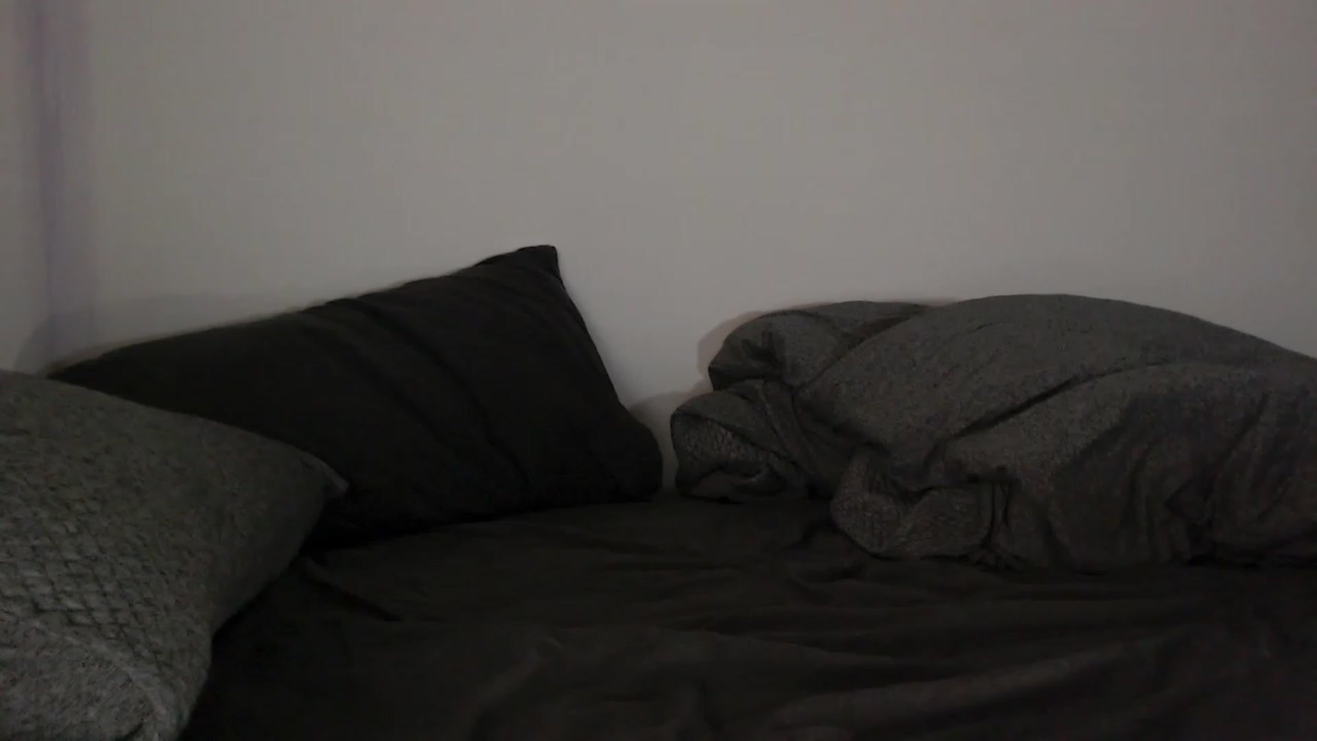 Gallery image thumbnail from RoomToAvoid's myfreecams stream on, 06/05/2023, 04:07 image 18 of 20