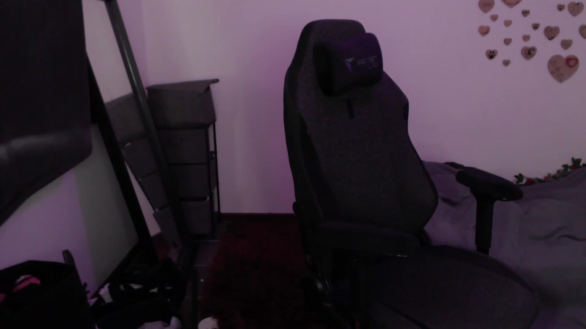 Gallery image thumbnail from RoomToAvoid's myfreecams stream on, 08/10/2023, 06:02 image 11 of 20