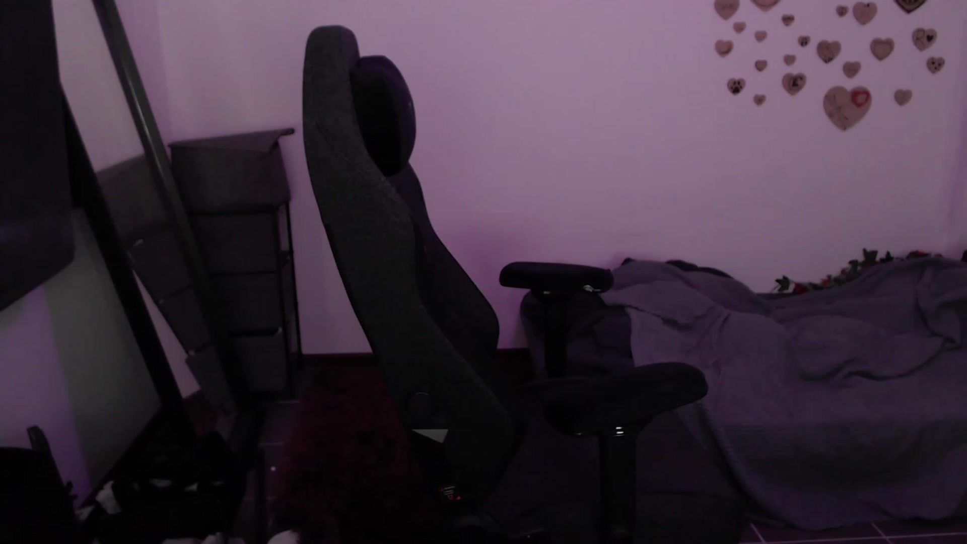 Gallery image thumbnail from RoomToAvoid's myfreecams stream on, 08/10/2023, 06:41 image 17 of 20