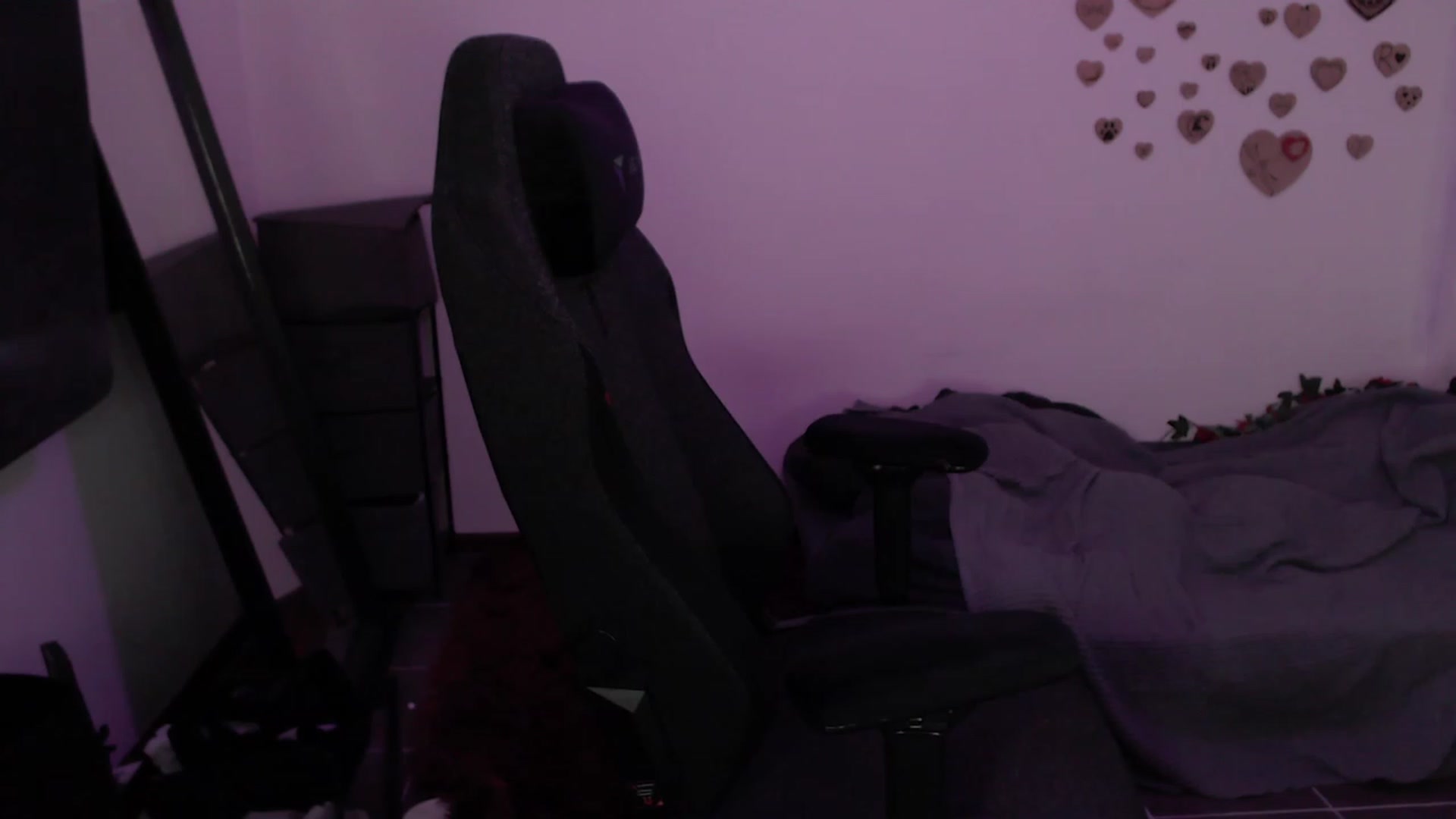 Gallery image thumbnail from RoomToAvoid's myfreecams stream on, 08/10/2023, 06:41 image 15 of 20