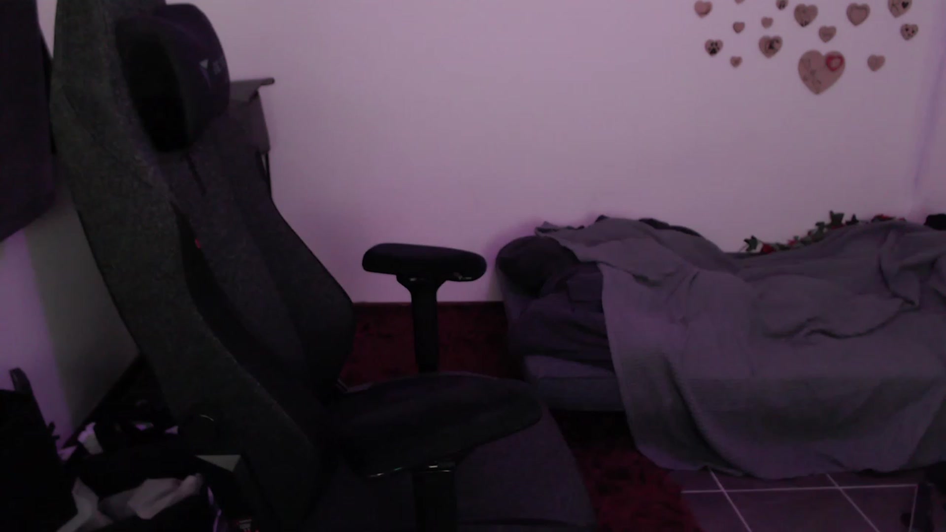 Gallery image thumbnail from RoomToAvoid's myfreecams stream on, 08/10/2023, 08:36 image 8 of 20