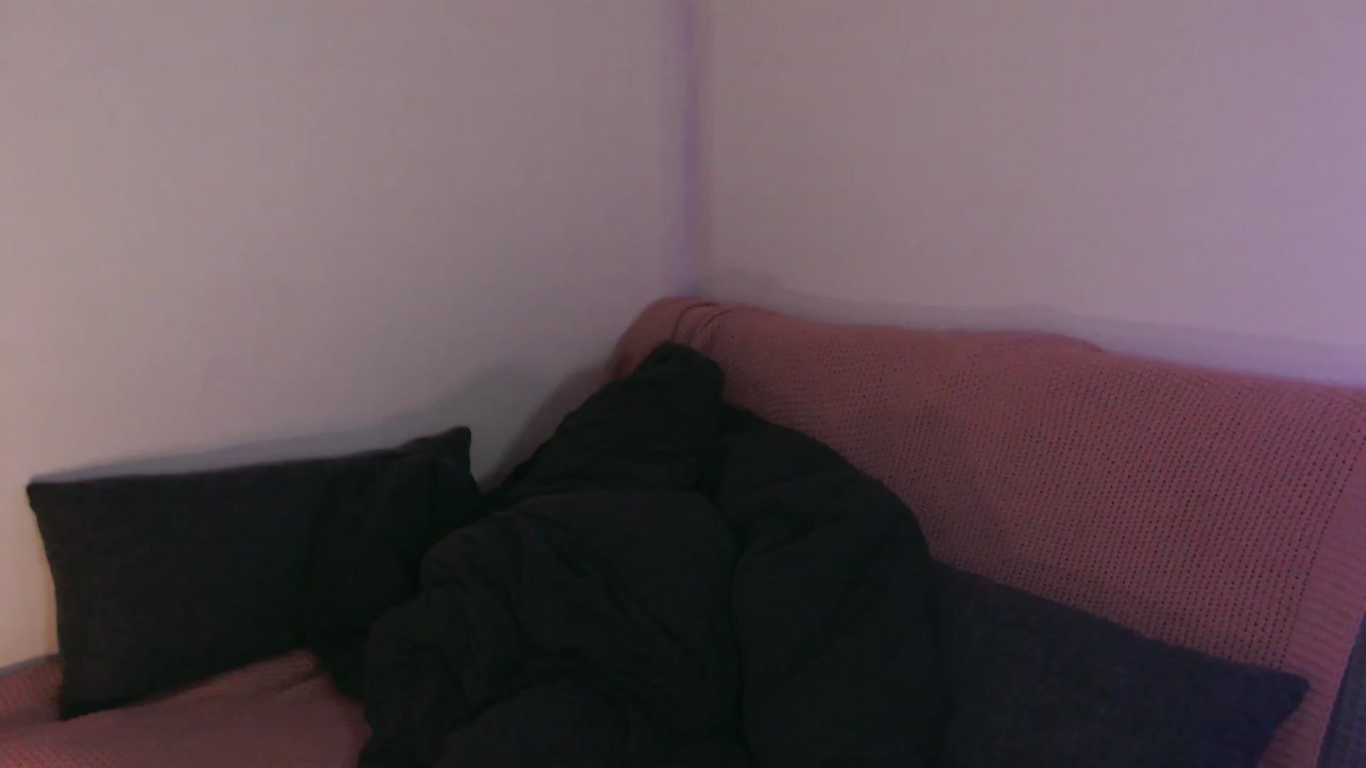 Gallery image thumbnail from RoomToAvoid's myfreecams stream on, 09/11/2023, 06:15 image 3 of 20