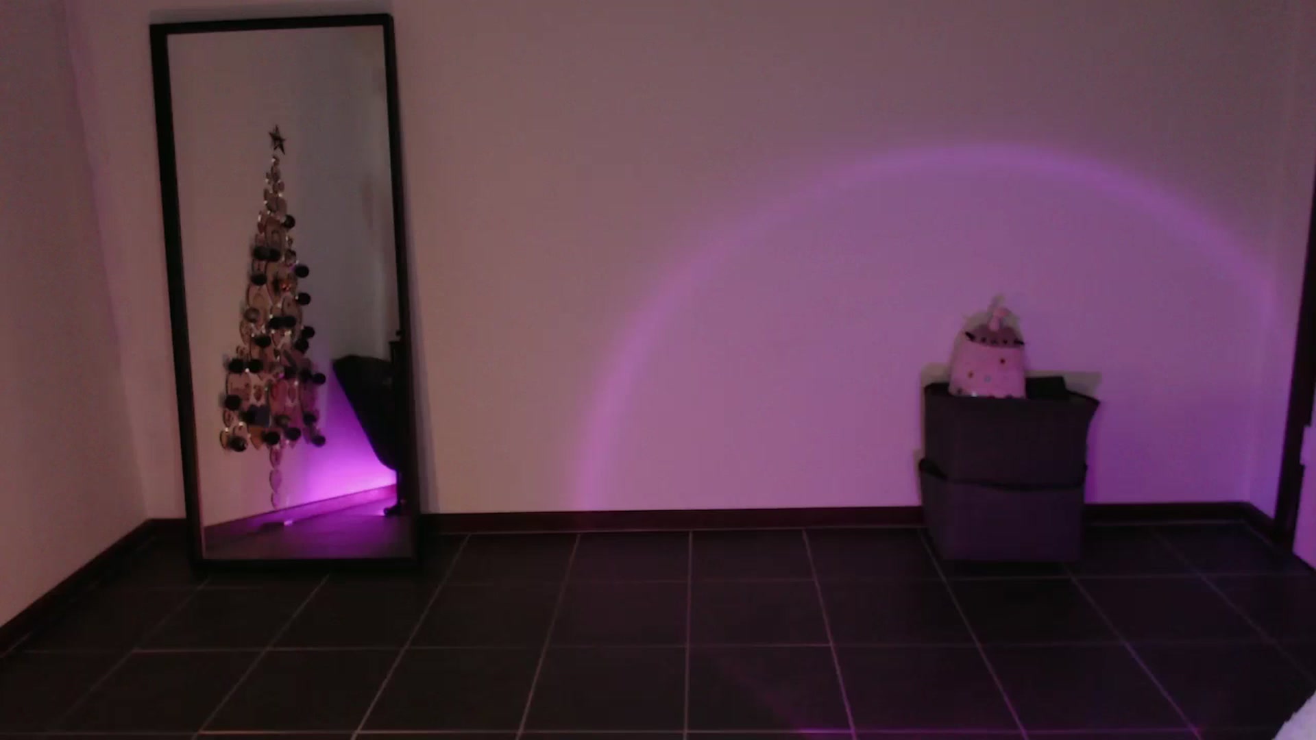Gallery image thumbnail from RoomToAvoid's myfreecams stream on, 12/06/2023, 24:59 image 18 of 20