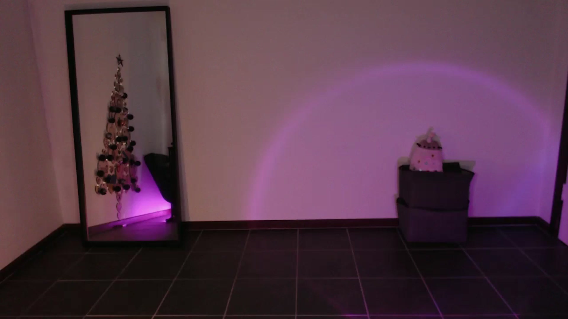 Gallery image thumbnail from RoomToAvoid's myfreecams stream on, 12/06/2023, 24:59 image 17 of 20