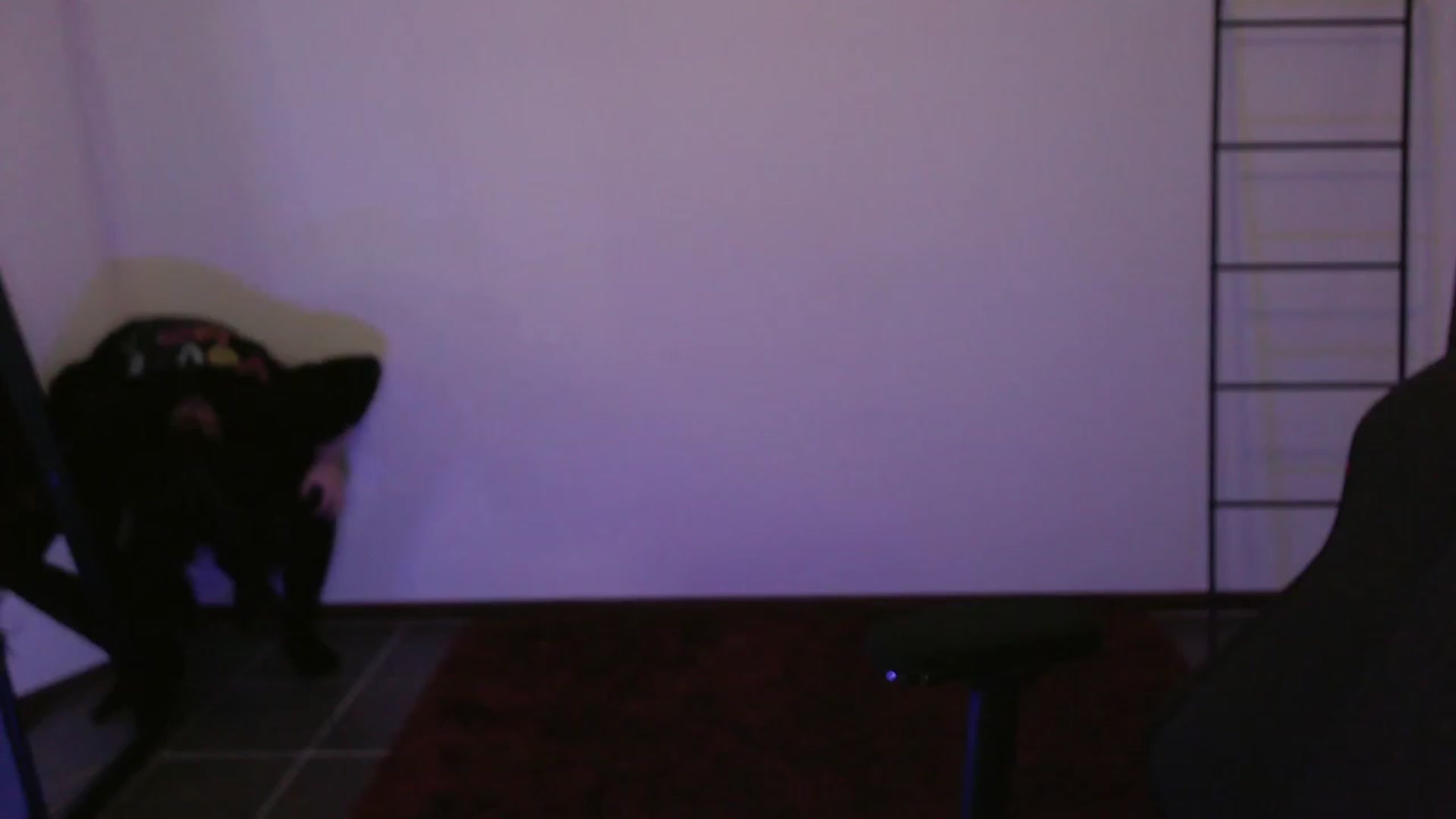 Gallery image thumbnail from RoomToAvoid's myfreecams stream on, 12/29/2023, 02:10 image 8 of 20