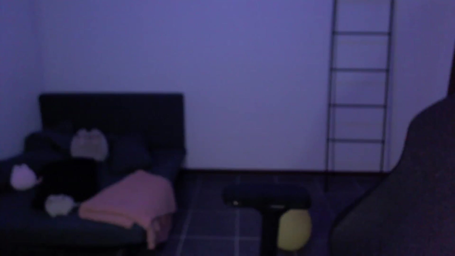 Gallery image thumbnail from RoomToAvoid's myfreecams stream on, 01/21/2024, 03:40 image 18 of 20