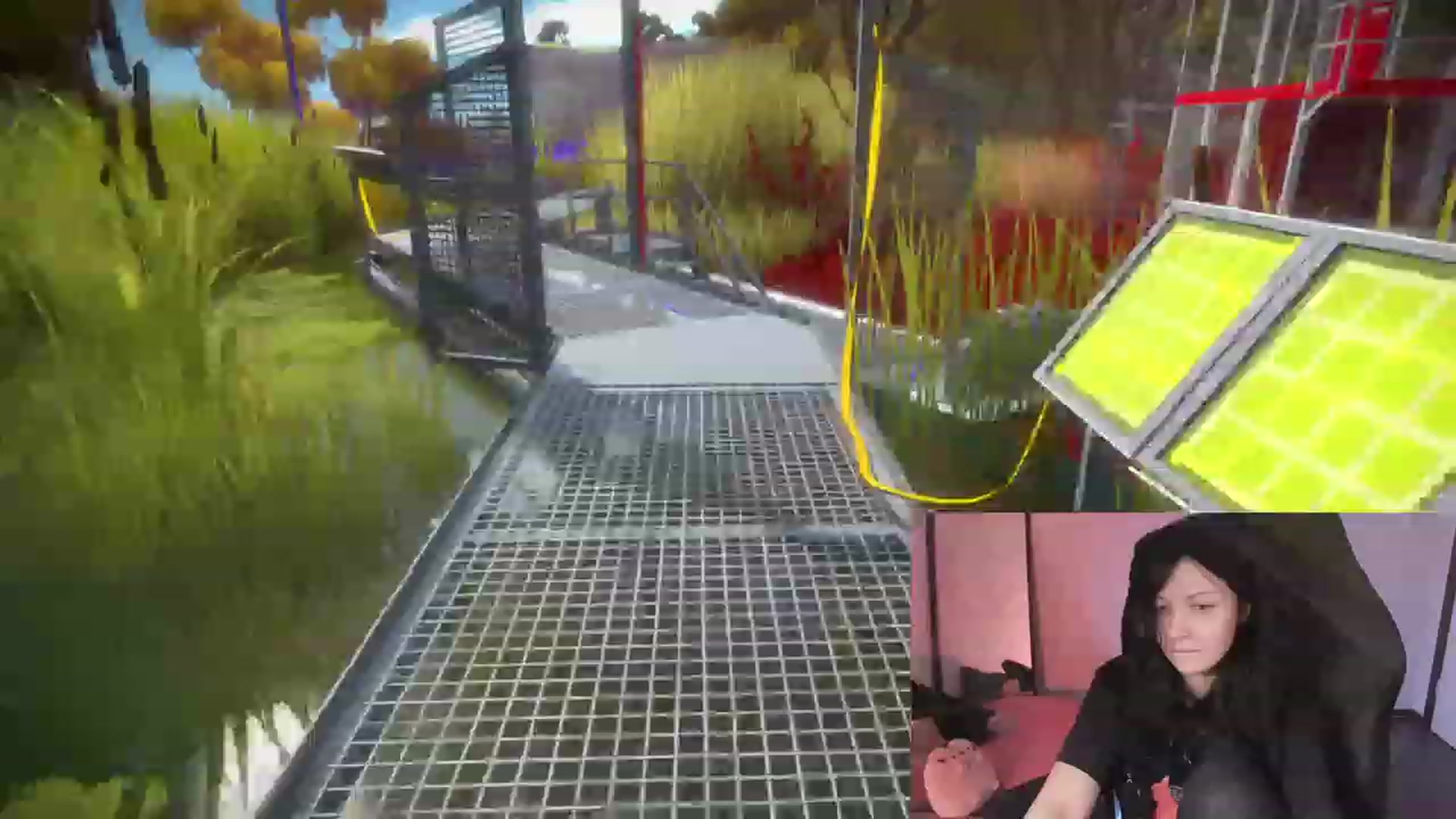 Gallery image thumbnail from RoomToAvoid's myfreecams stream on, 02/09/2024, 01:35 image 9 of 20