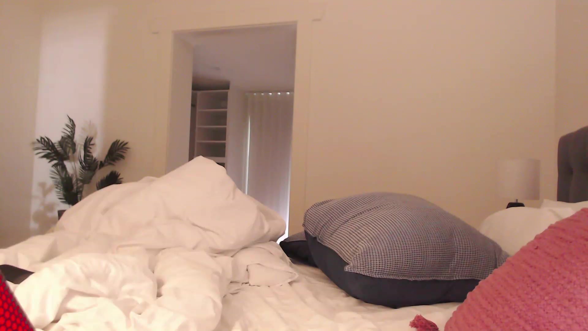 Gallery image thumbnail from RoomToAvoid's myfreecams stream on, 02/21/2024, 03:11 image 12 of 20