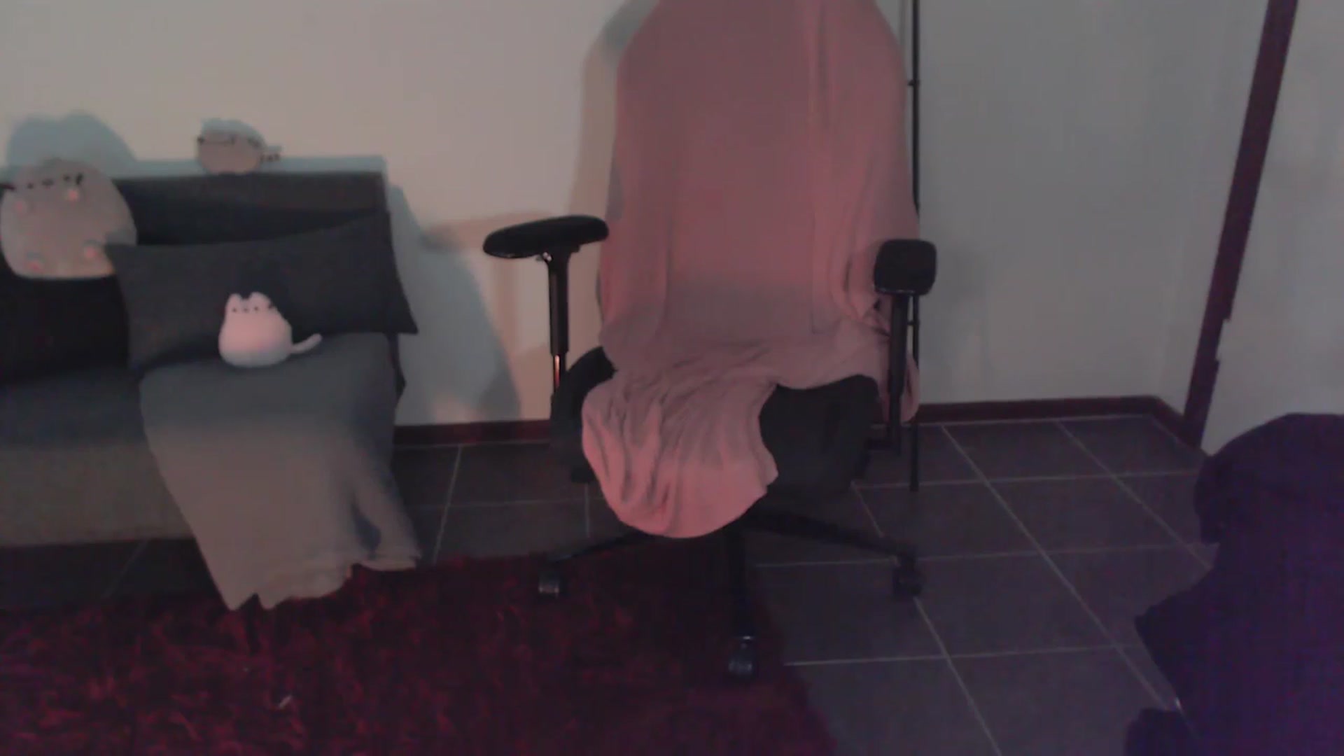 Gallery image thumbnail from RoomToAvoid's myfreecams stream on, 03/04/2024, 04:43 image 11 of 20