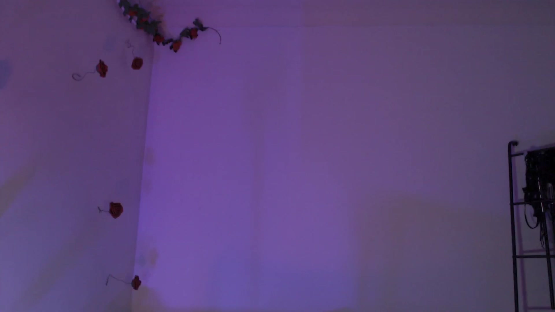 Gallery image thumbnail from RoomToAvoid's myfreecams stream on, 04/07/2024, 06:50 image 15 of 20