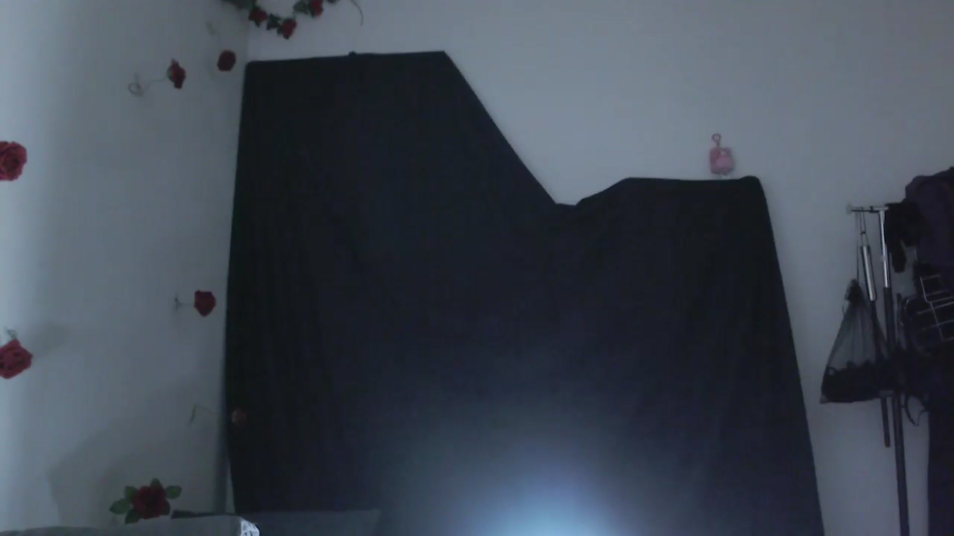 Gallery image thumbnail from RoomToAvoid's myfreecams stream on, 04/12/2024, 06:14 image 2 of 20
