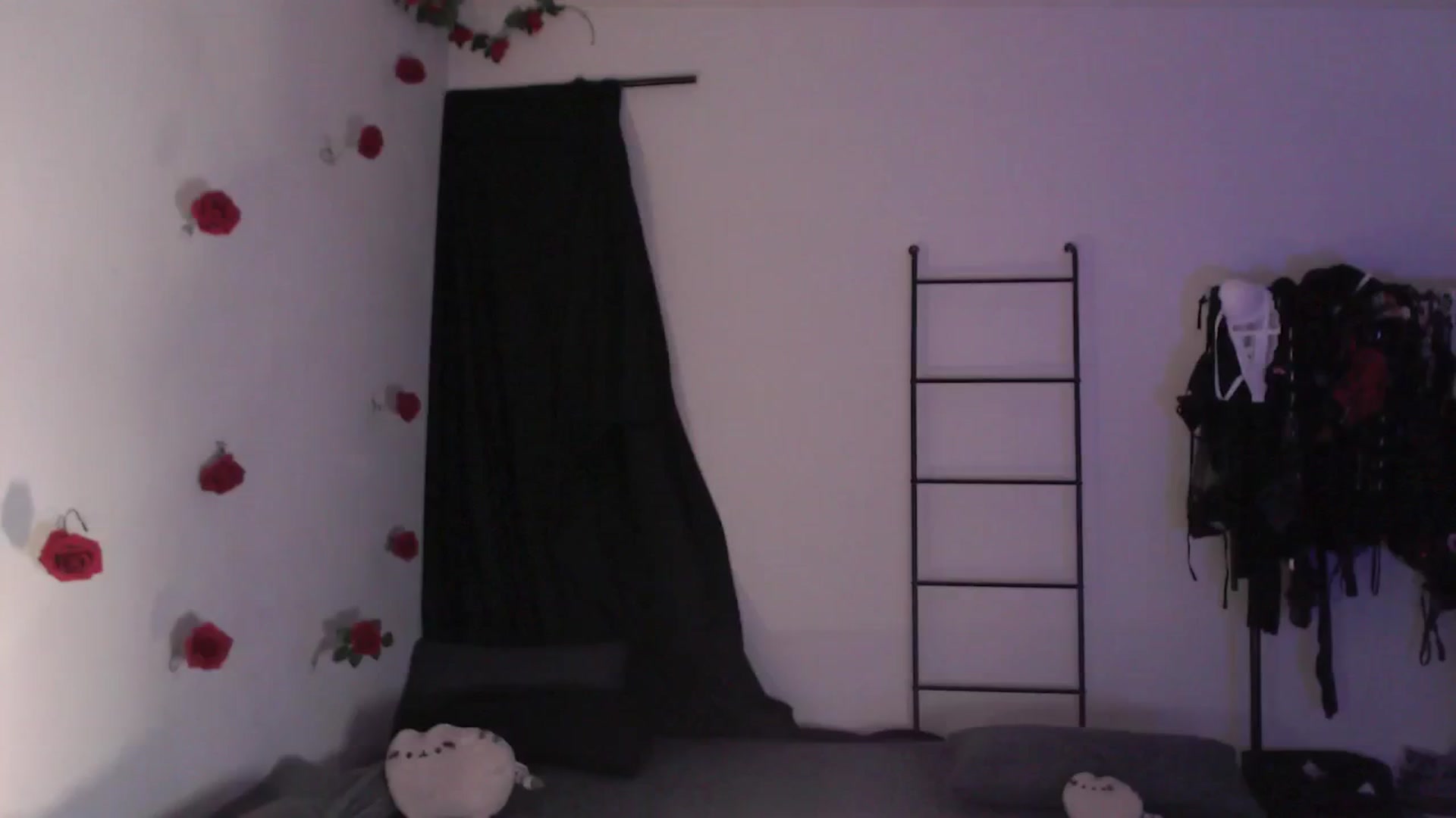 Gallery image thumbnail from RoomToAvoid's myfreecams stream on, 04/23/2024, 03:18 image 6 of 20