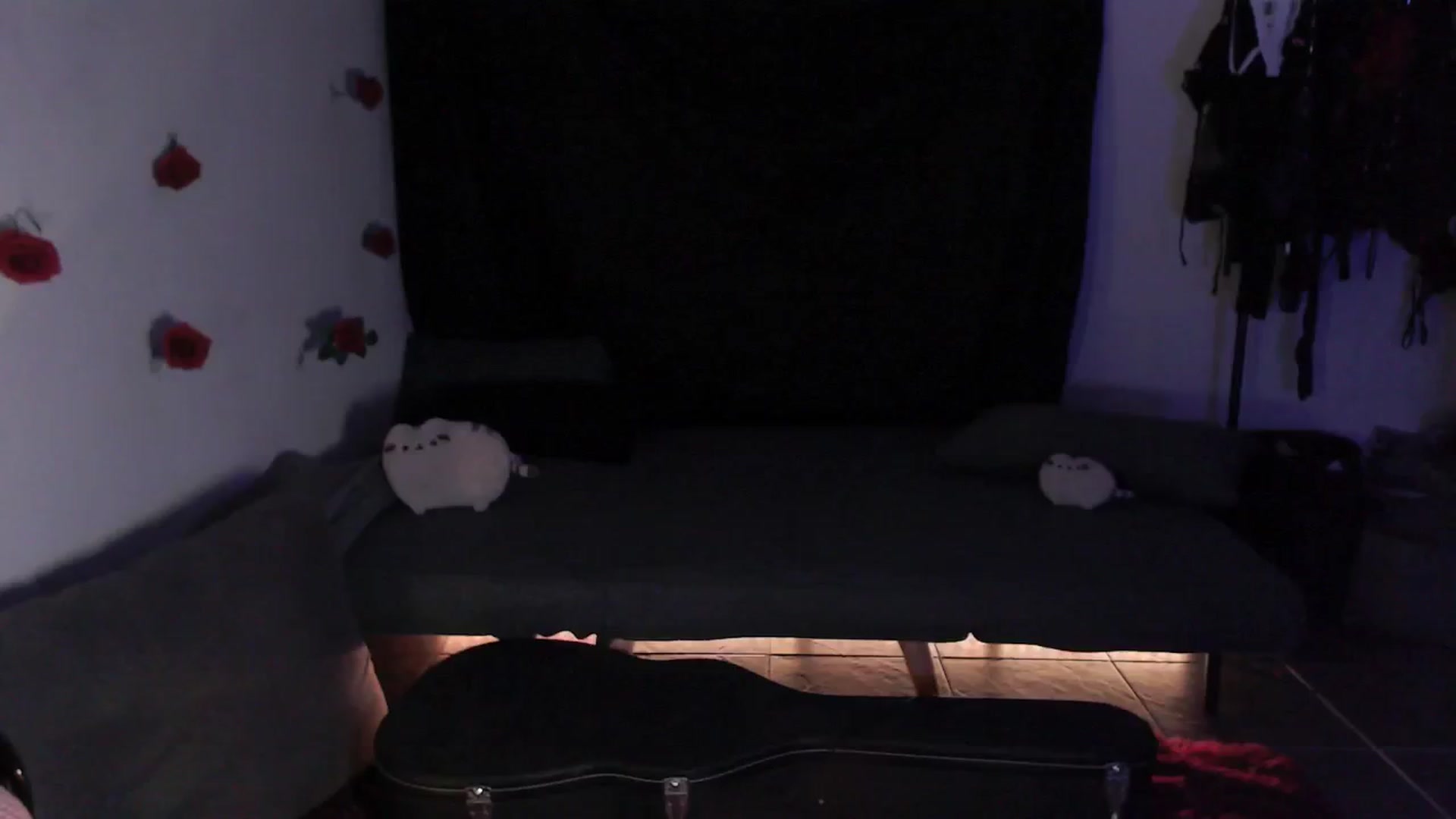 Gallery image thumbnail from RoomToAvoid's myfreecams stream on, 04/23/2024, 03:18 image 18 of 20