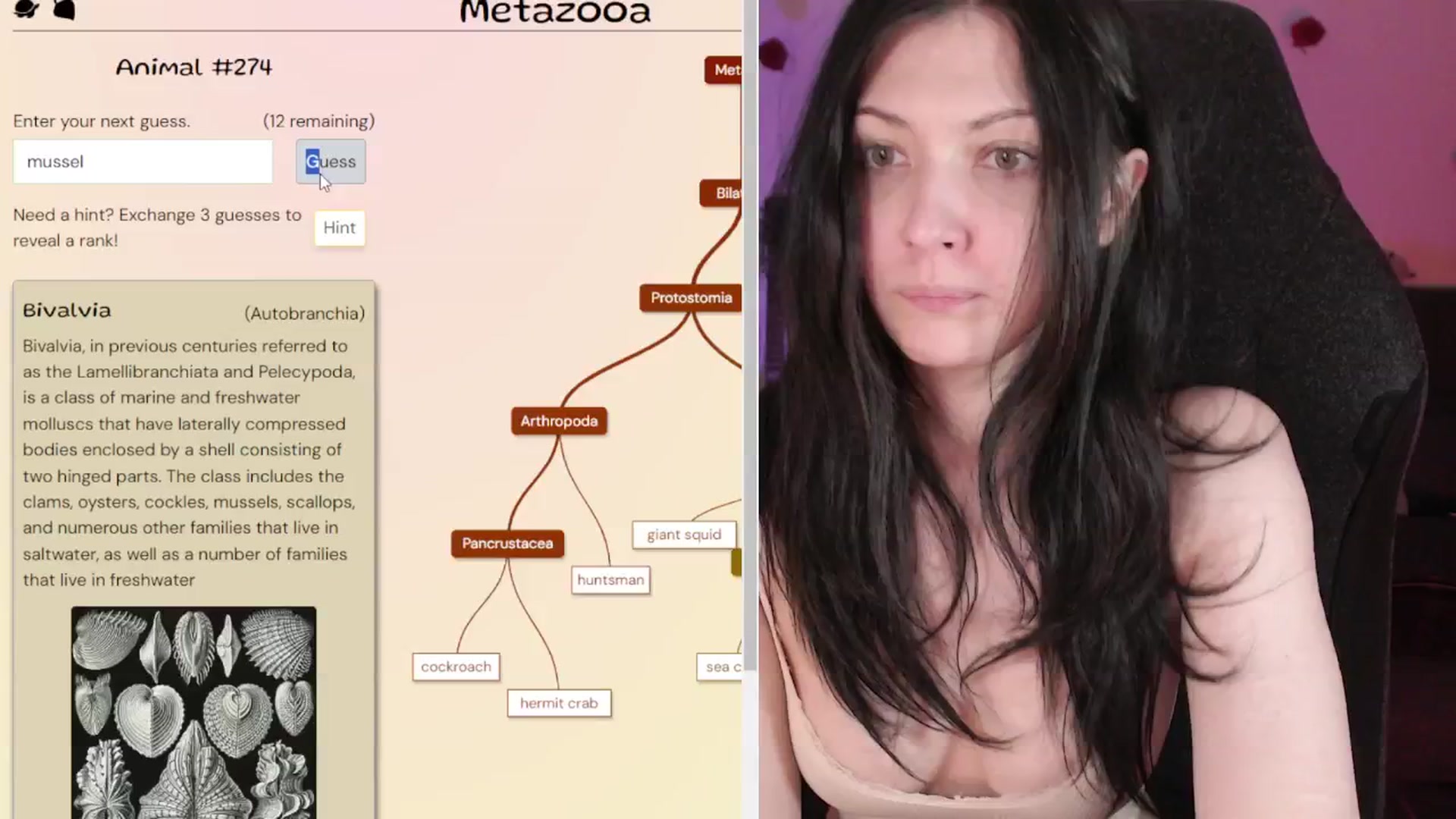 Gallery image thumbnail from RoomToAvoid's myfreecams stream on, 04/30/2024, 05:03 image 20 of 20