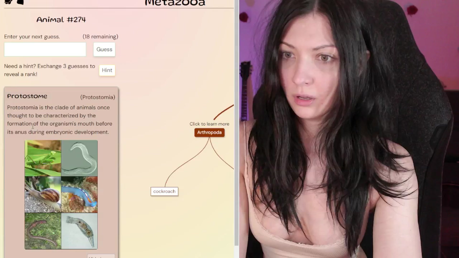 Gallery image thumbnail from RoomToAvoid's myfreecams stream on, 04/30/2024, 05:03 image 16 of 20