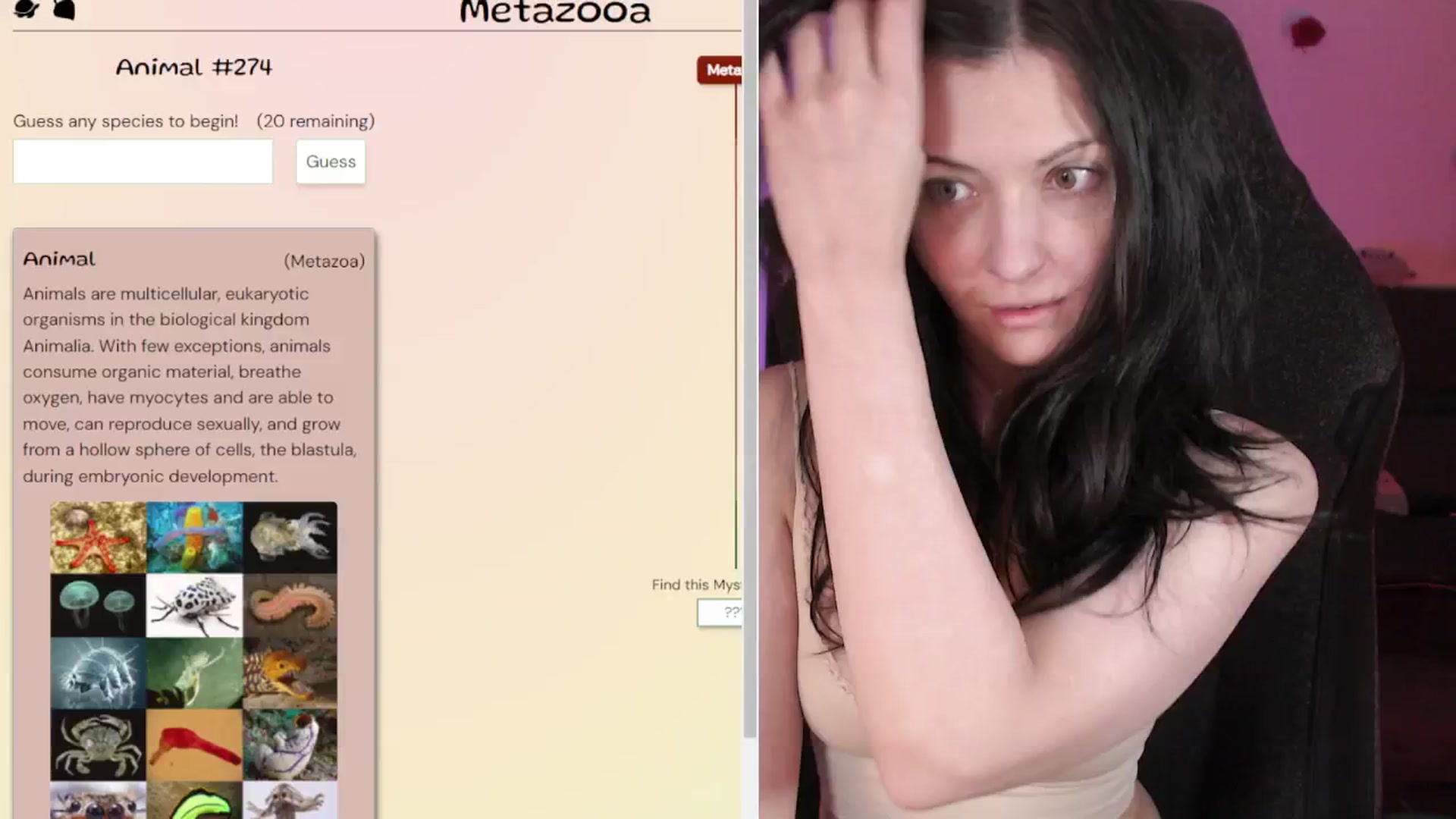 Gallery image thumbnail from RoomToAvoid's myfreecams stream on, 04/30/2024, 05:03 image 15 of 20