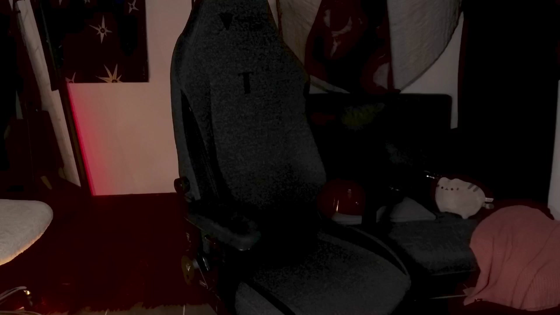 Gallery image thumbnail from RoomToAvoid's myfreecams stream on, 05/20/2024, 04:47 image 14 of 20