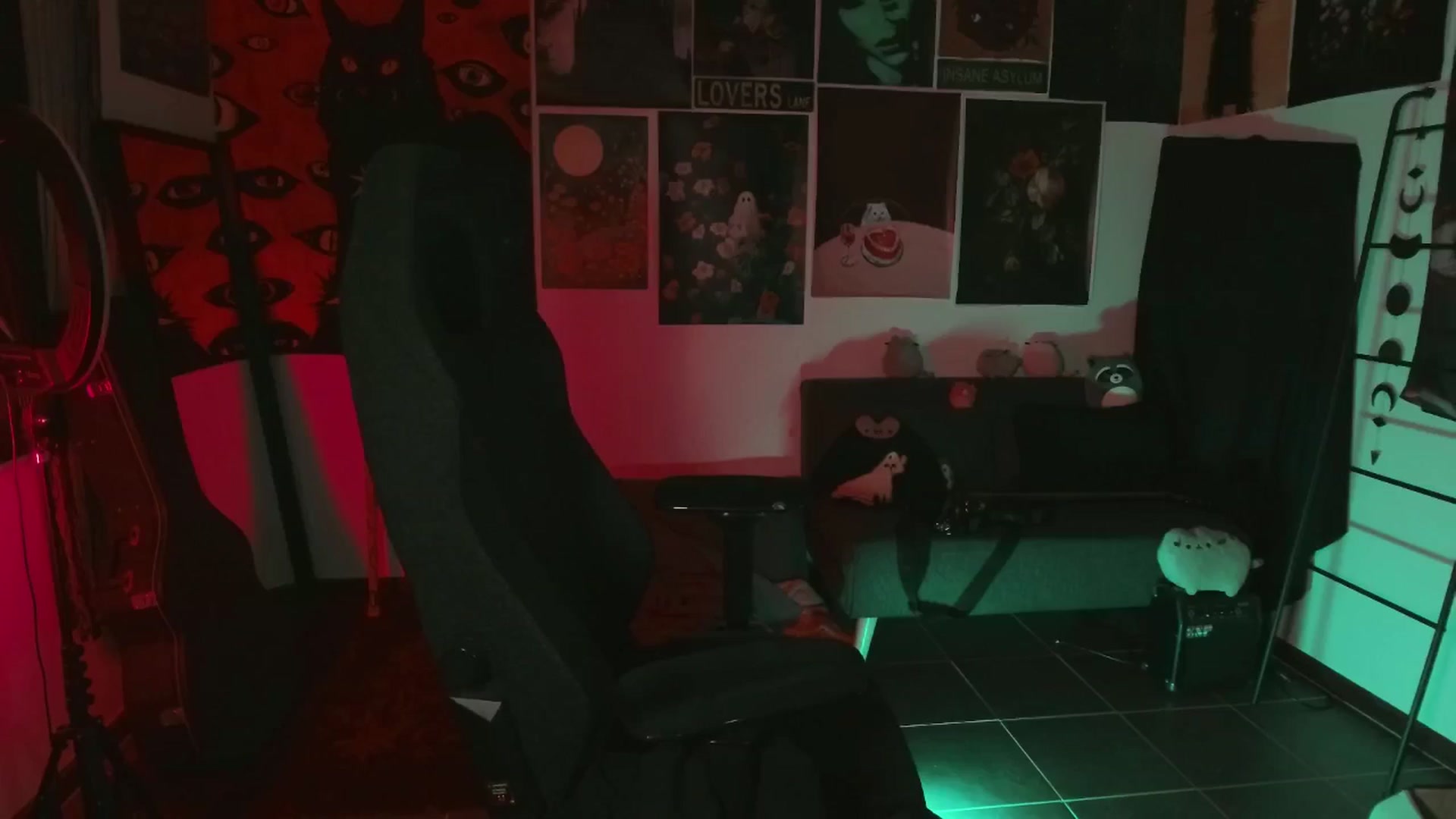 Gallery image thumbnail from RoomToAvoid's myfreecams stream on, 06/27/2024, 05:38 image 19 of 20
