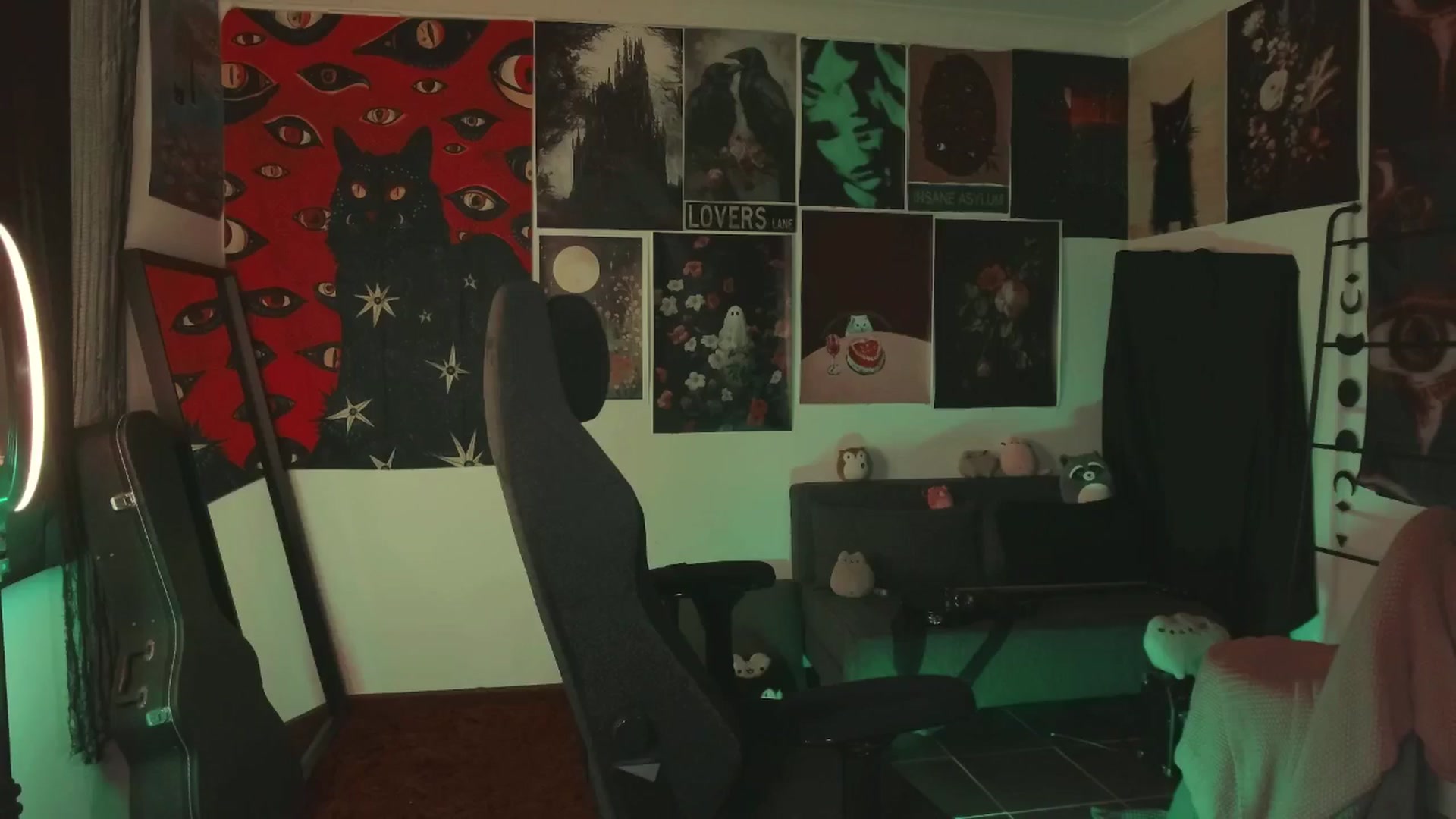 Gallery image thumbnail from RoomToAvoid's myfreecams stream on, 07/03/2024, 02:14 image 17 of 20
