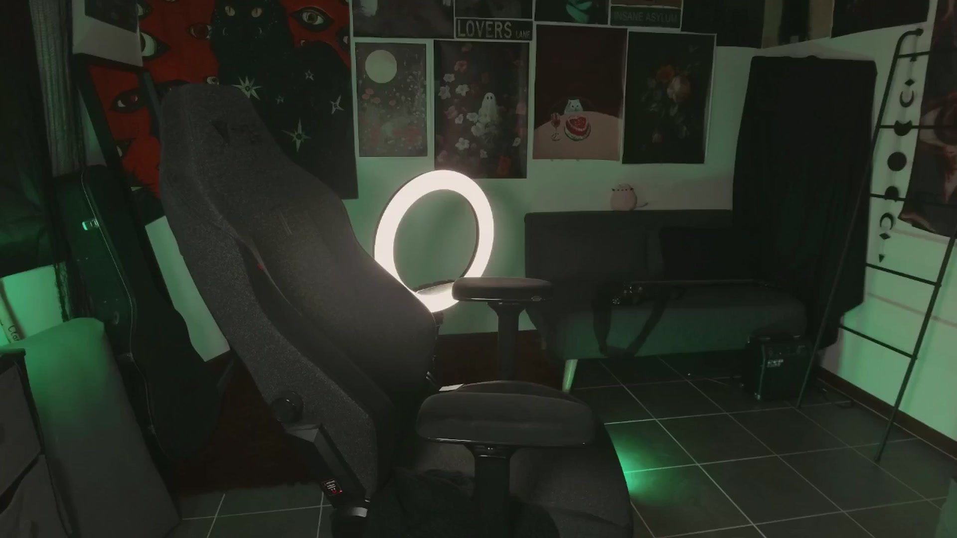 Gallery image thumbnail from RoomToAvoid's myfreecams stream on, 07/06/2024, 05:52 image 16 of 20