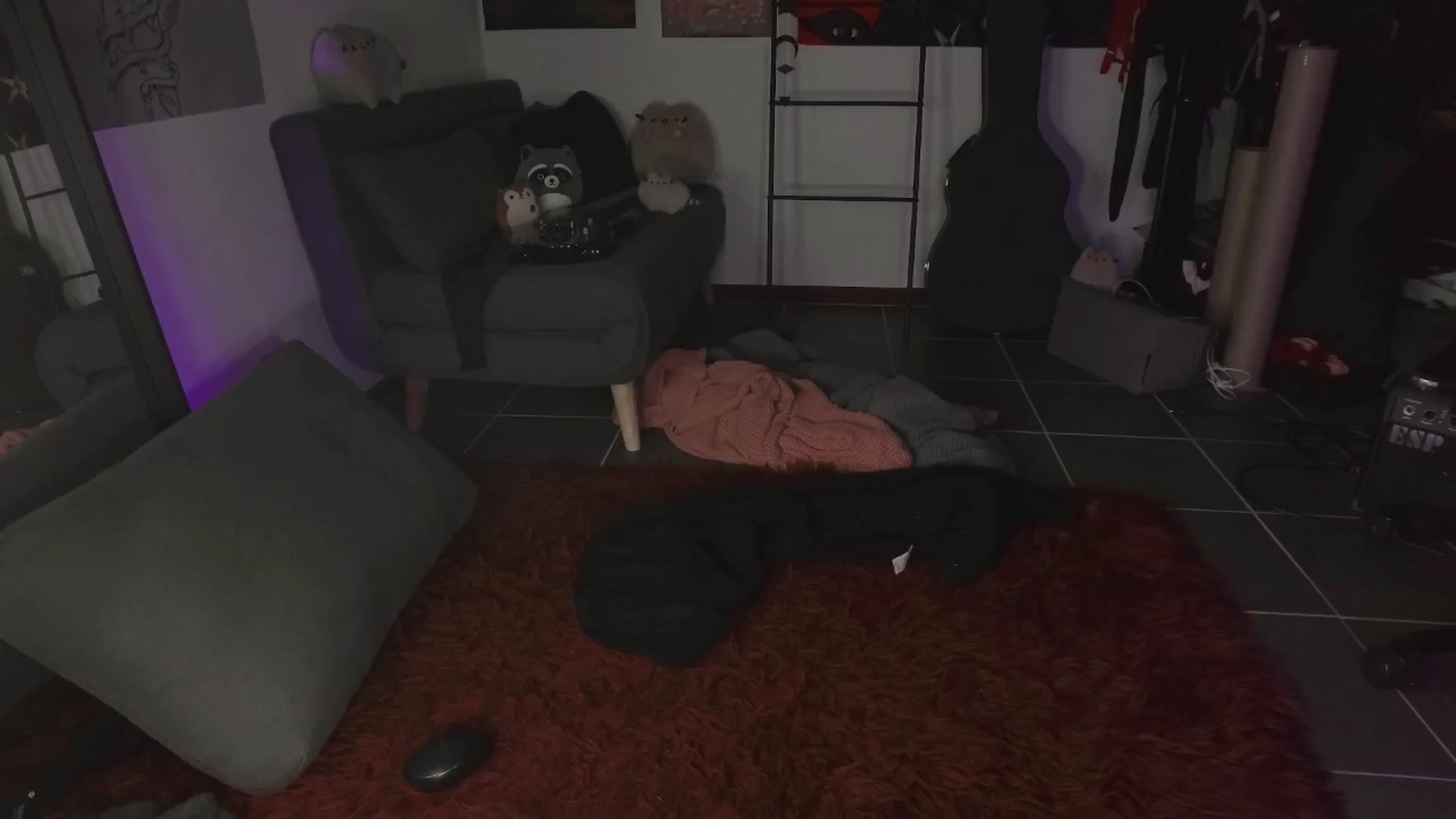 Gallery image thumbnail from RoomToAvoid's myfreecams stream on, 08/01/2024, 06:40 image 7 of 20
