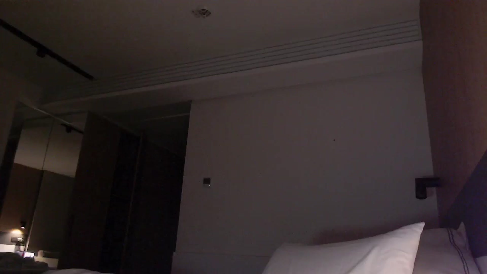 Gallery image thumbnail from RoomToAvoid's myfreecams stream on, 08/29/2024, 21:04 image 12 of 20