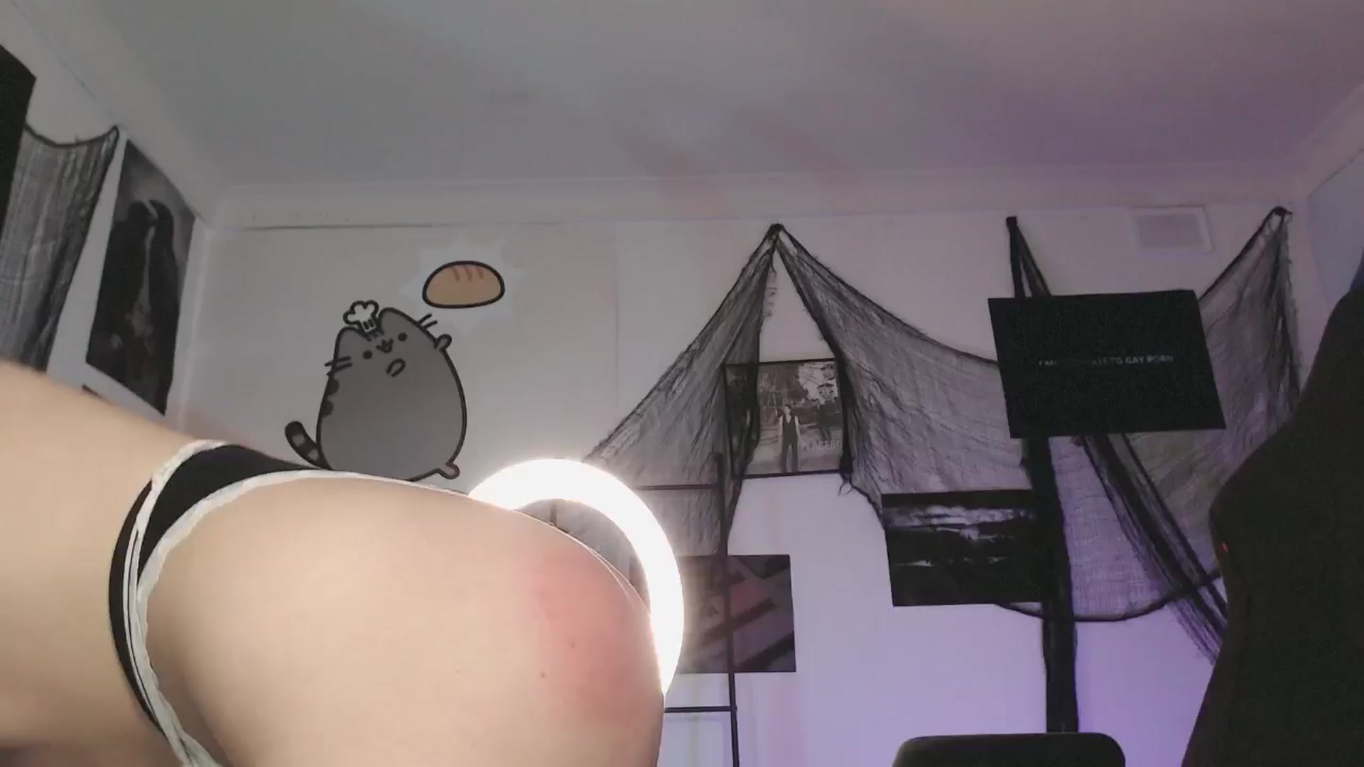 Gallery image thumbnail from RoomToAvoid's myfreecams stream on, 10/15/2024, 02:17 image 12 of 20