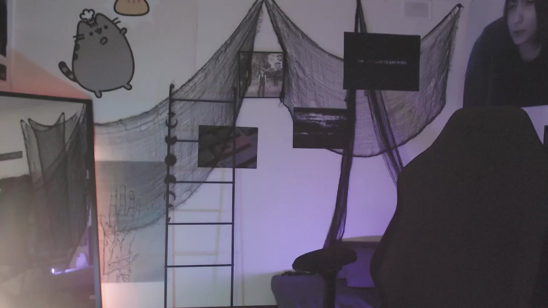 Gallery image thumbnail from RoomToAvoid's myfreecams stream on, 10/15/2024, 05:27 image 9 of 20