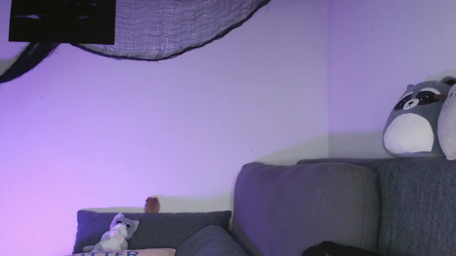 Gallery image thumbnail from RoomToAvoid's myfreecams stream on, 10/18/2024, 06:50 image 5 of 20