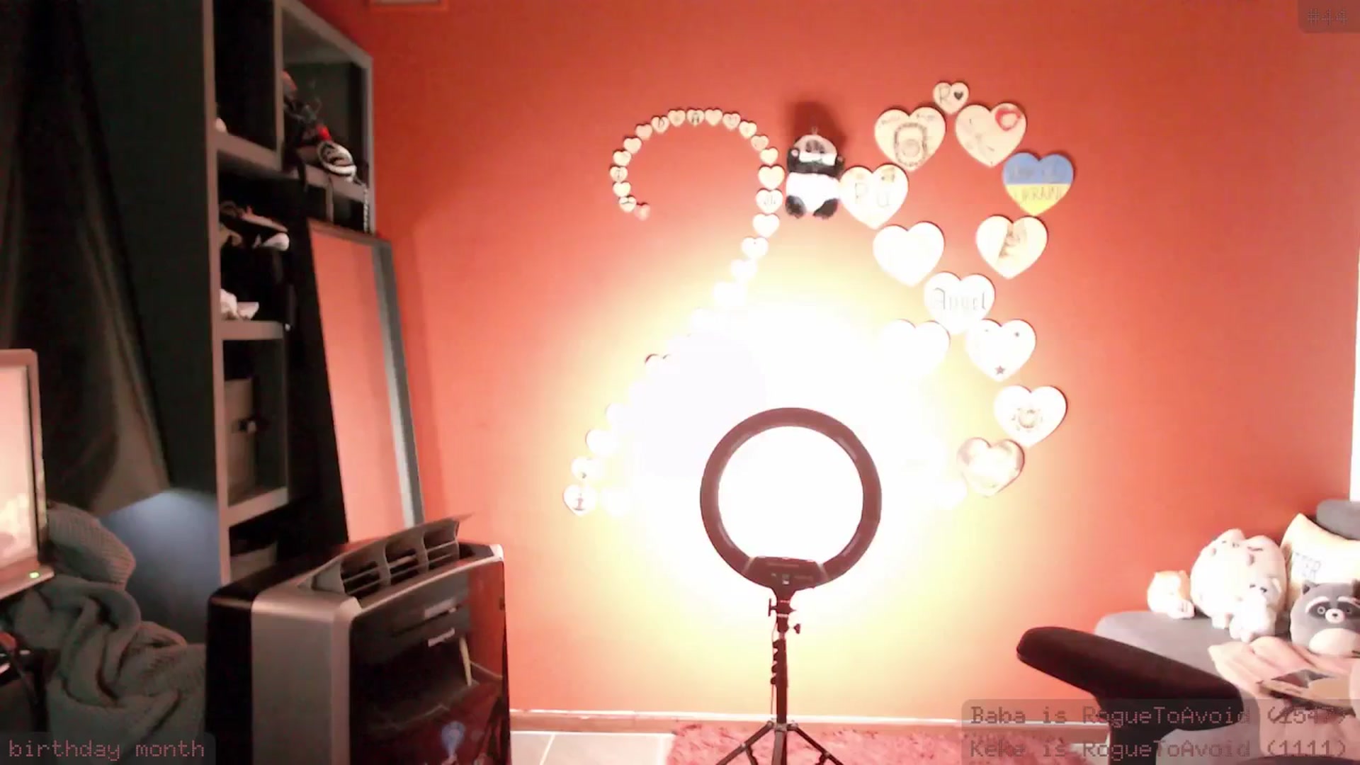 Gallery image thumbnail from RoomToAvoid's myfreecams stream on, 01/14/2025, 06:31 image 13 of 20