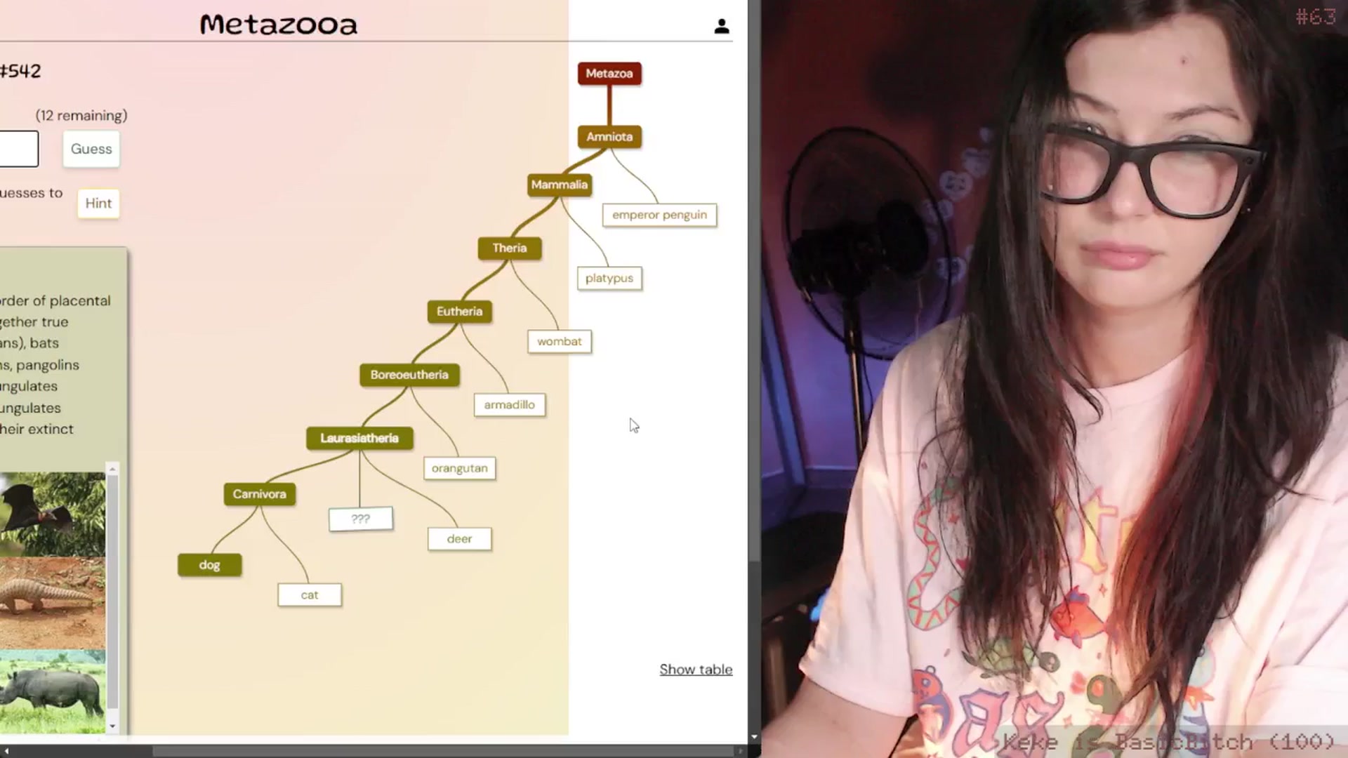 Gallery image thumbnail from RoomToAvoid's myfreecams stream on, 01/23/2025, 06:19 image 14 of 20