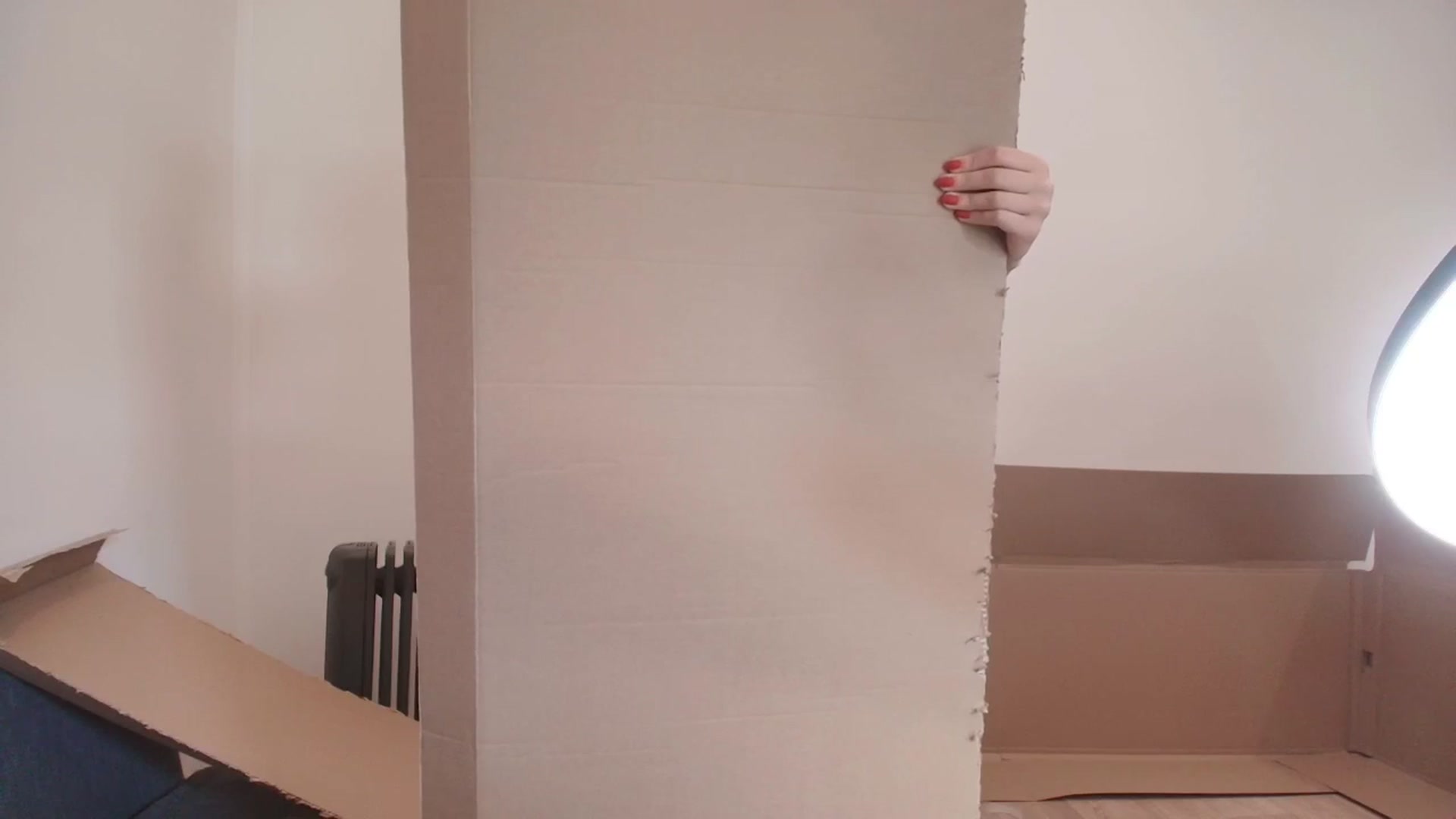 Gallery image thumbnail from RoomToAvoid's myfreecams stream on, 06/30/2025, 04:49 image 13 of 20