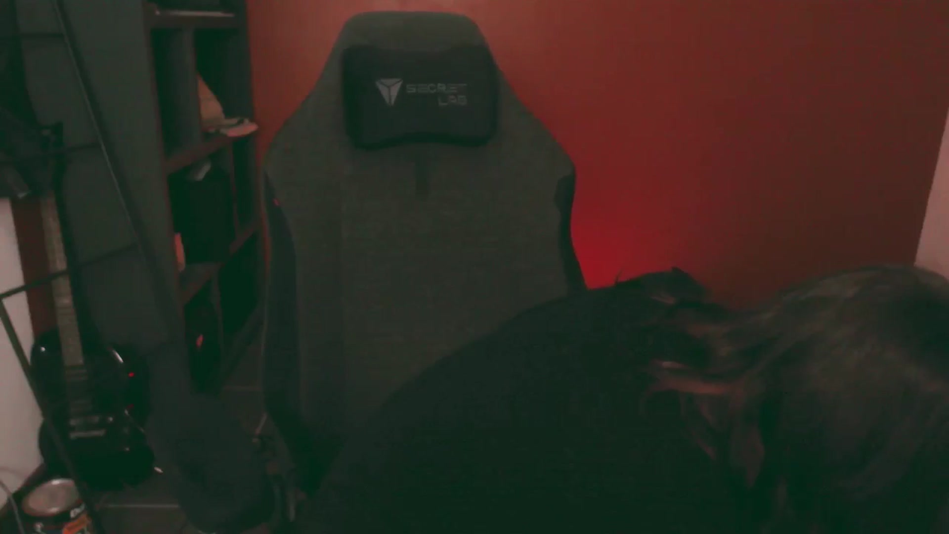 Gallery image thumbnail from RoomToAvoid's myfreecams stream on, 08/04/2025, 06:02 image 6 of 20
