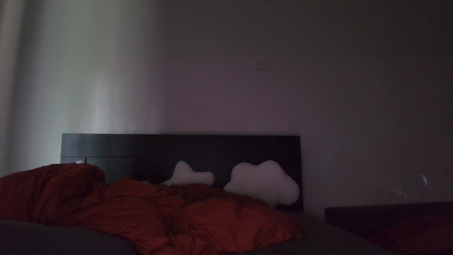 Gallery image thumbnail from RoomToAvoid's myfreecams stream on, 09/03/2025, 24:01 image 9 of 20