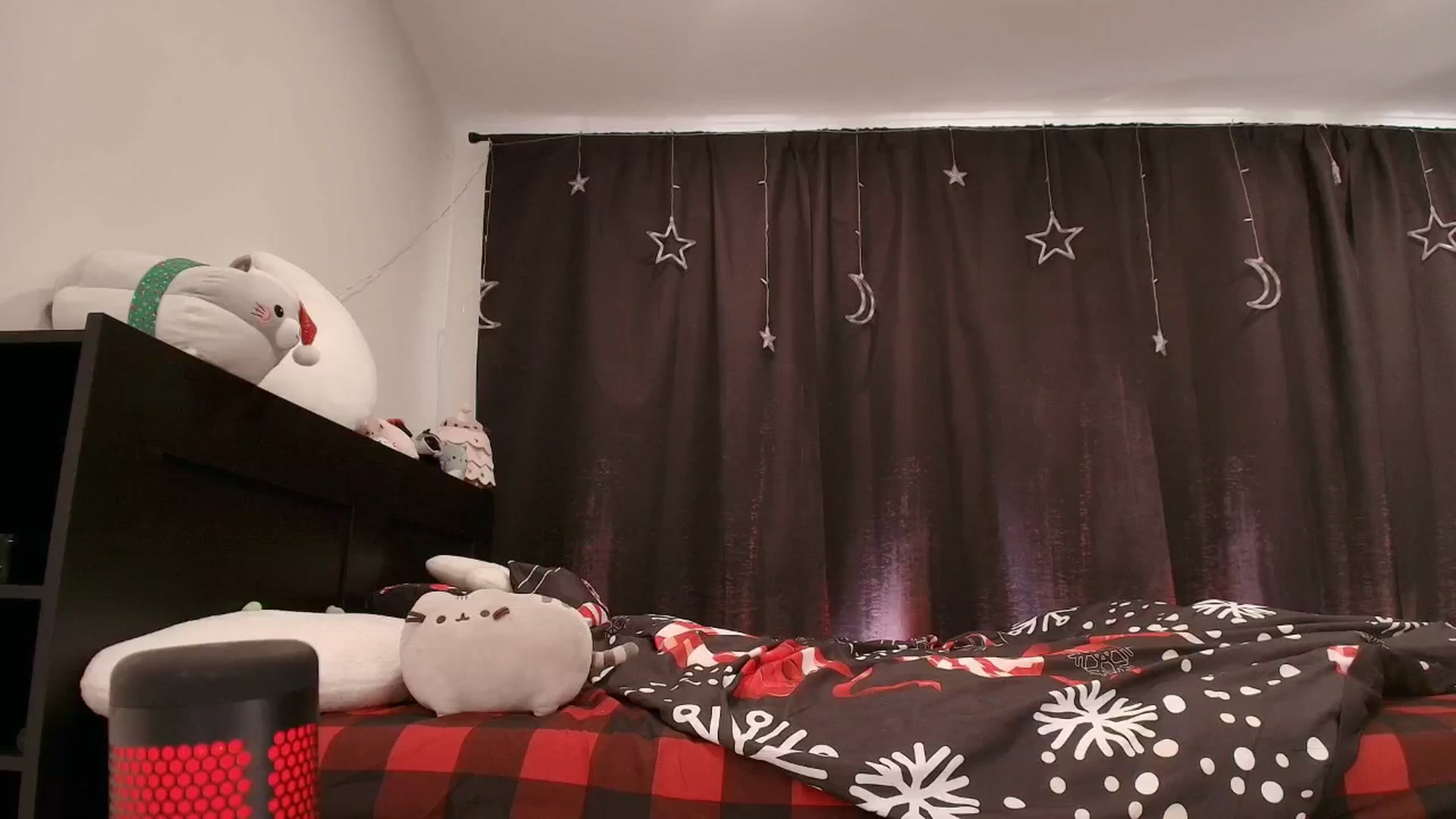 Gallery image thumbnail from RoomToAvoid's myfreecams stream on, 12/17/2025, 05:49 image 9 of 20